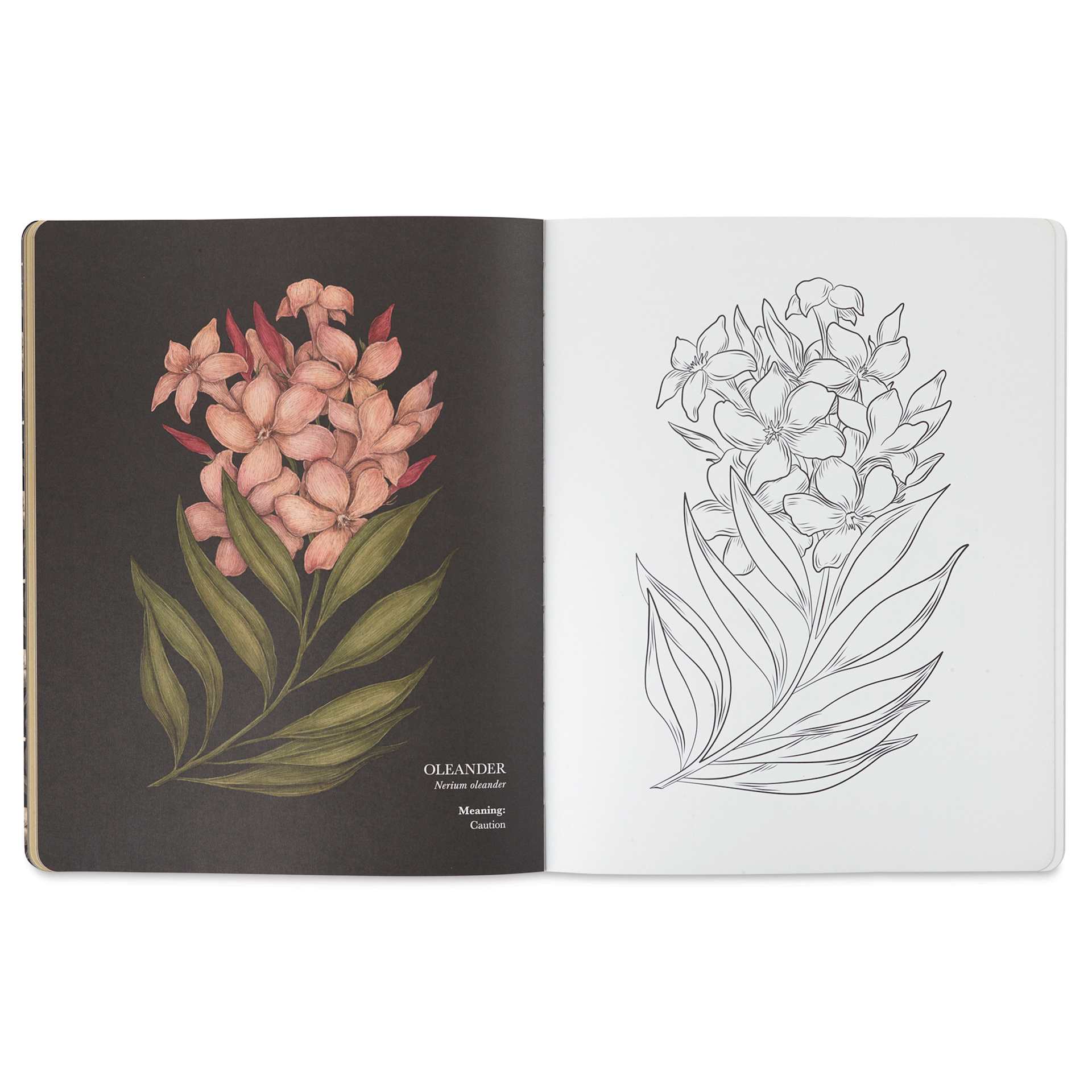 Floriography Coloring Book - Paperback, 96 Pages, Oleander