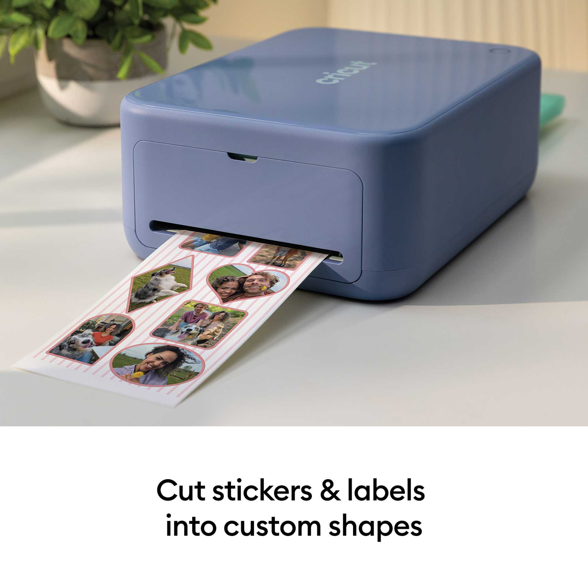 Cut stickers and labels into custom shapes.