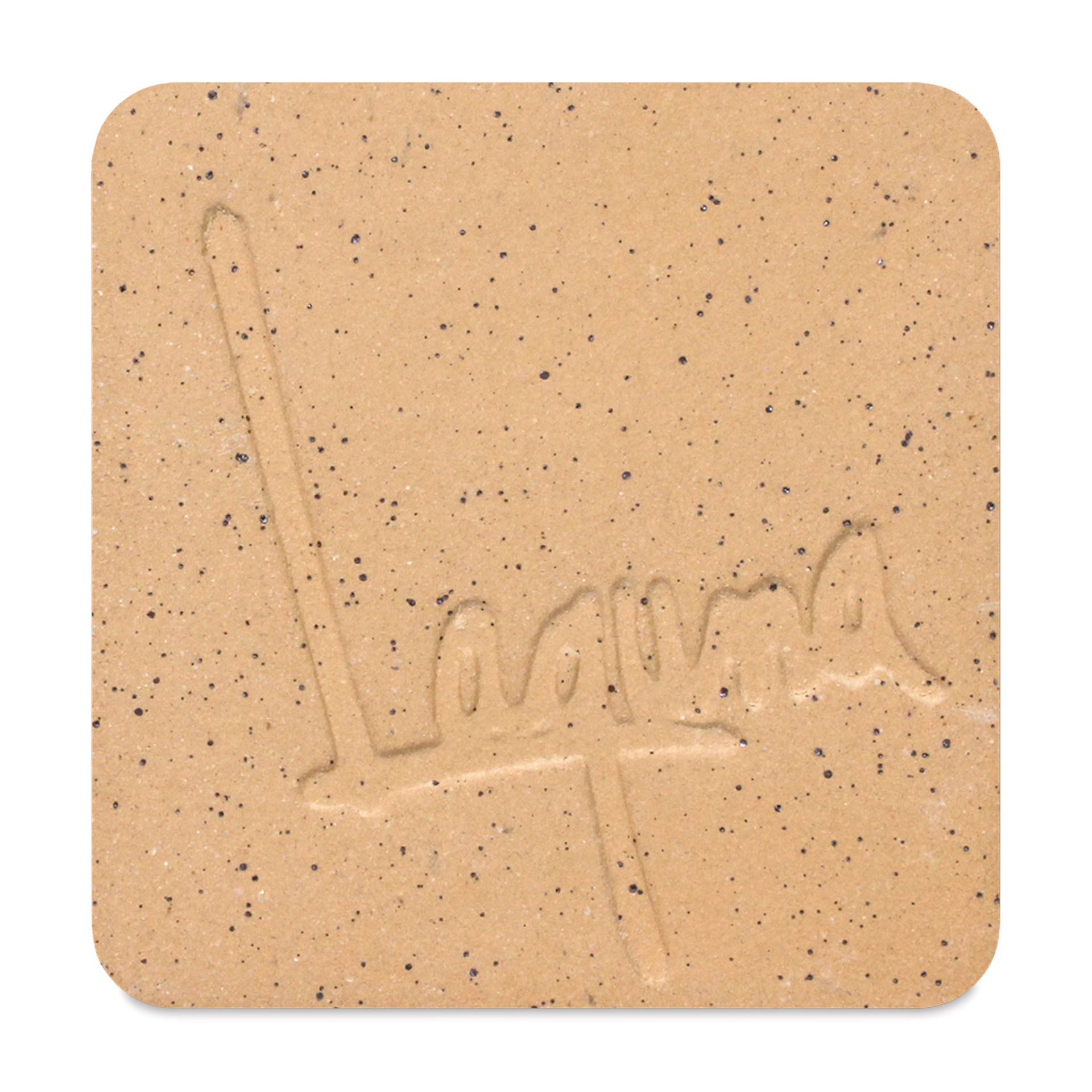 Laguna Speckled Buff Clay WC403 - 50 lb (fired to Cone 5 in an oxidation environment)