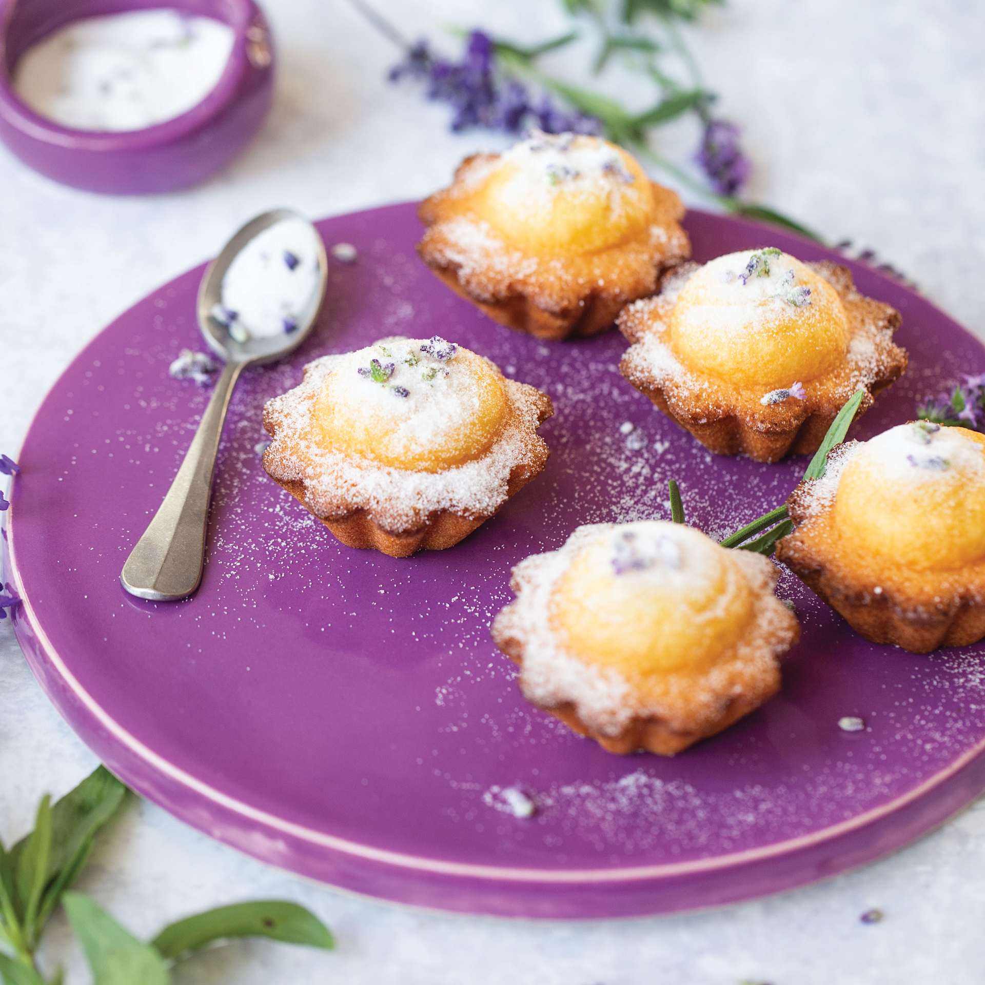 Botz Pro Glaze - Amethyst, 200 ml finished plate in use