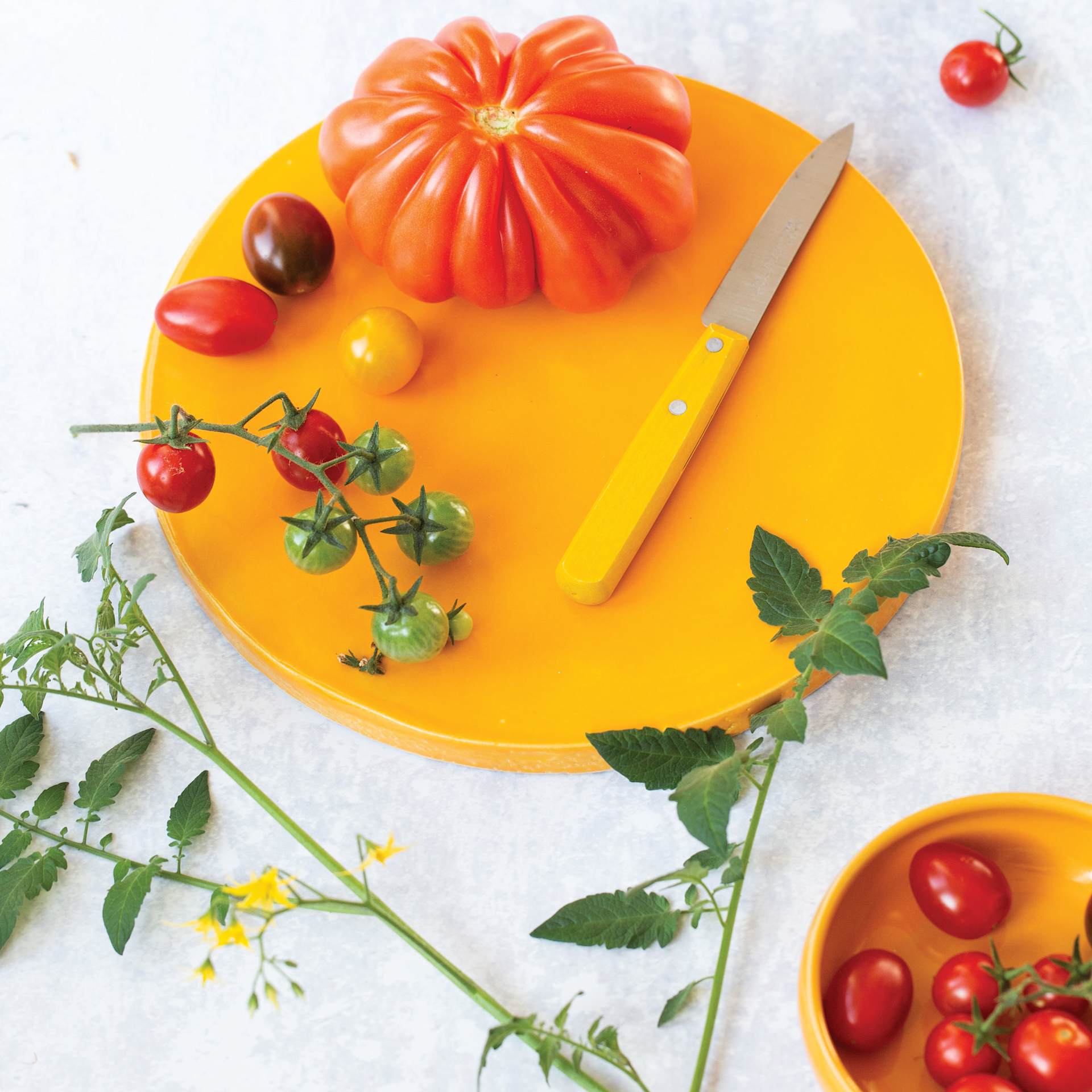 Botz Pro Glaze - Carnelian Yellow, 200 ml finished plate in use