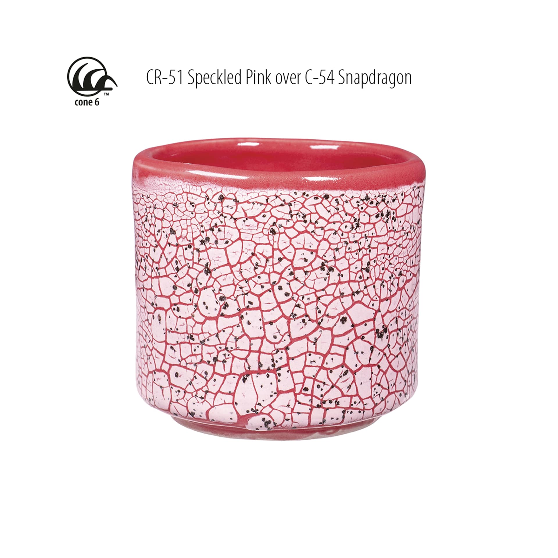 Cone 6 - CR-51 Speckled Pink over C-54 Snapdragon