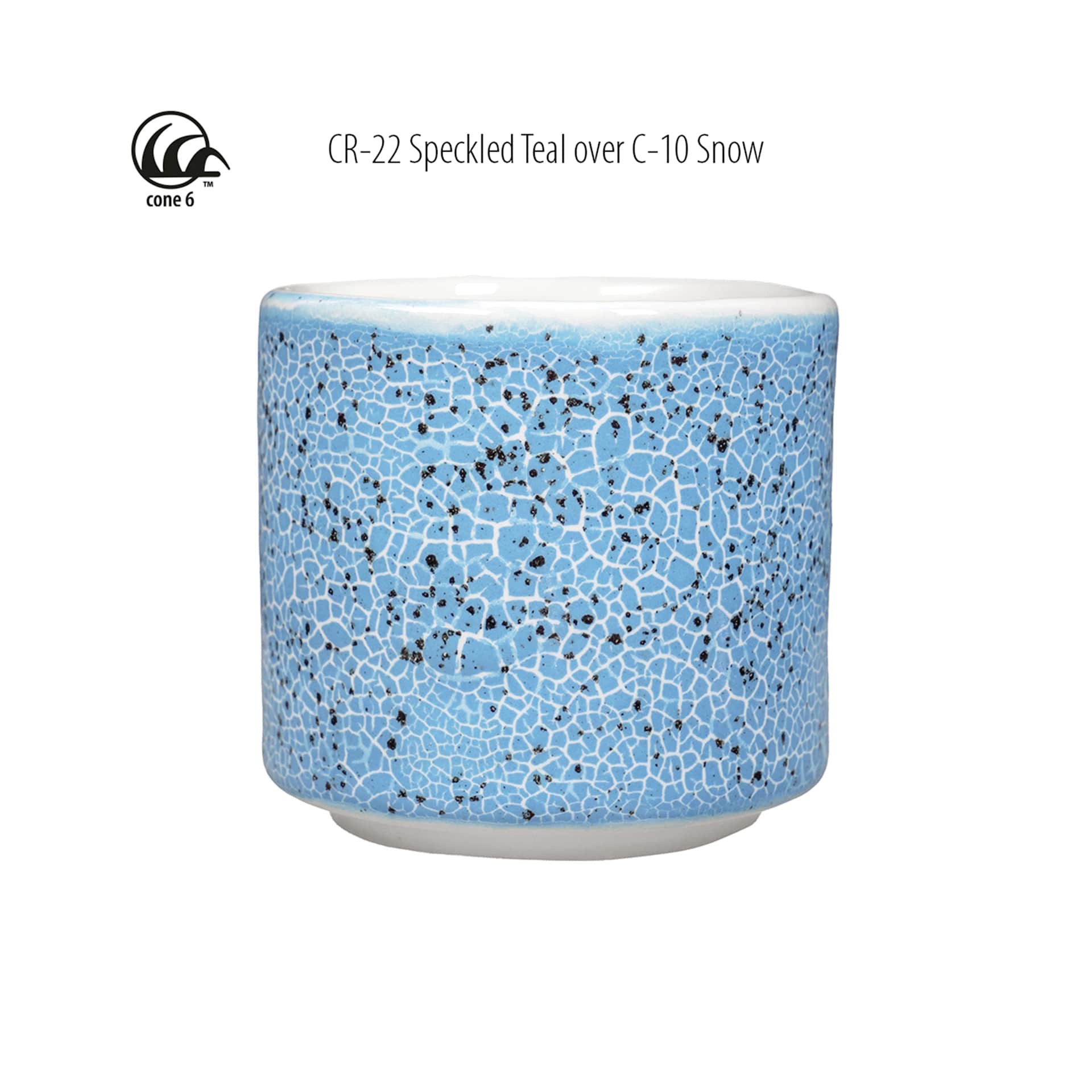 Cone 6 - CR-22 Speckled Teal over C-10 Snow