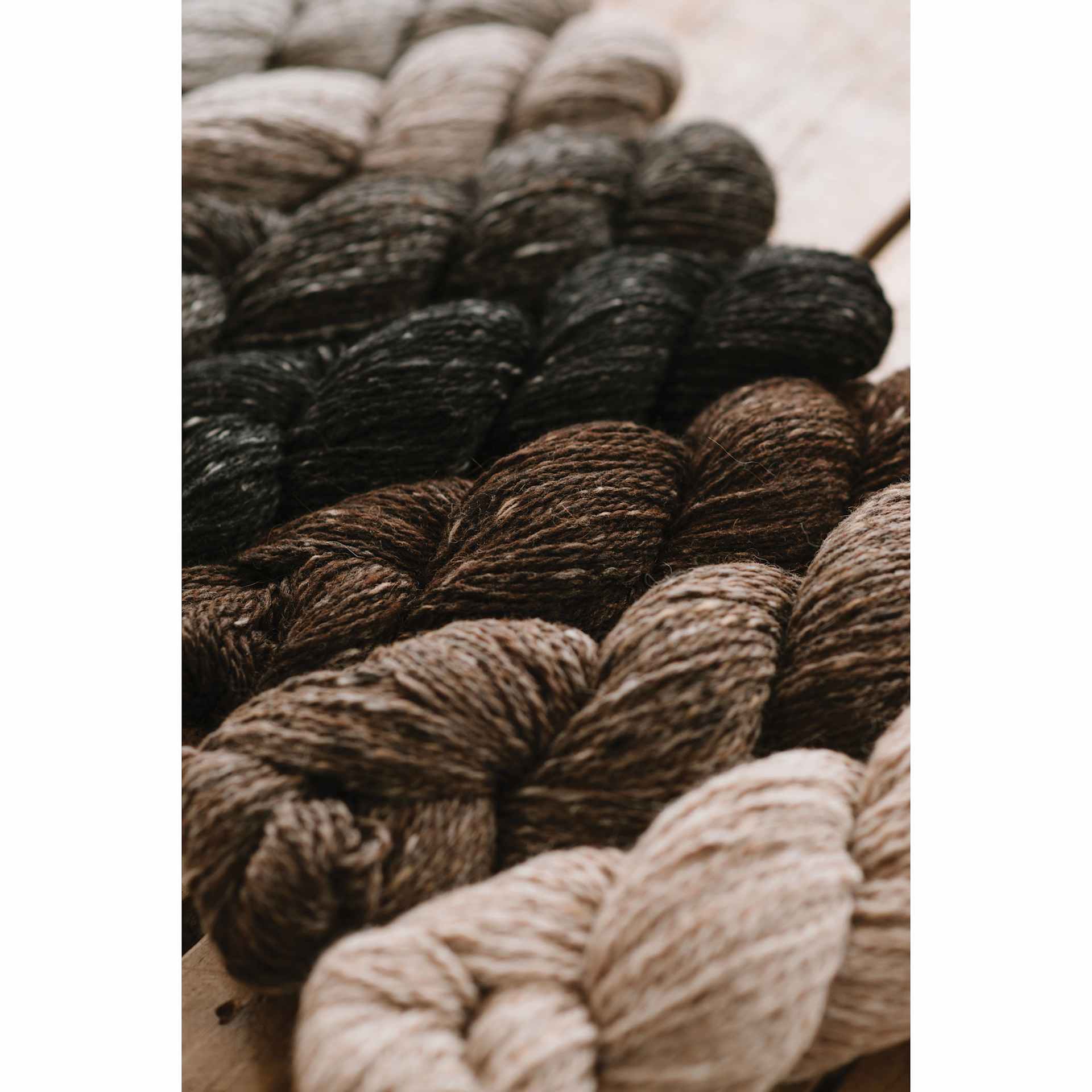 Quince & Co Hawk Yarn showing available colors
