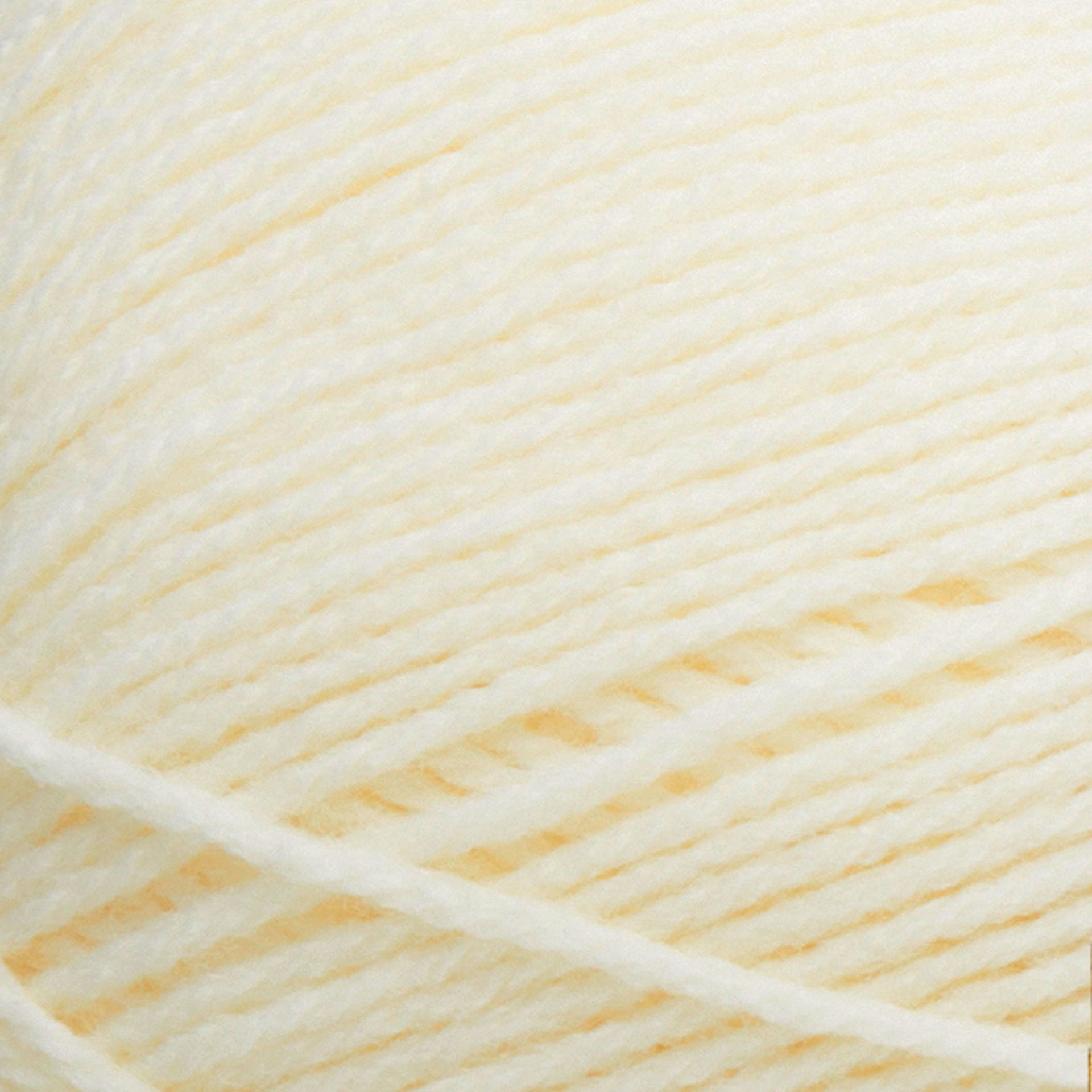 Lion Brand Pound of Love Yarn - Antique White, 16 oz close up to show texture