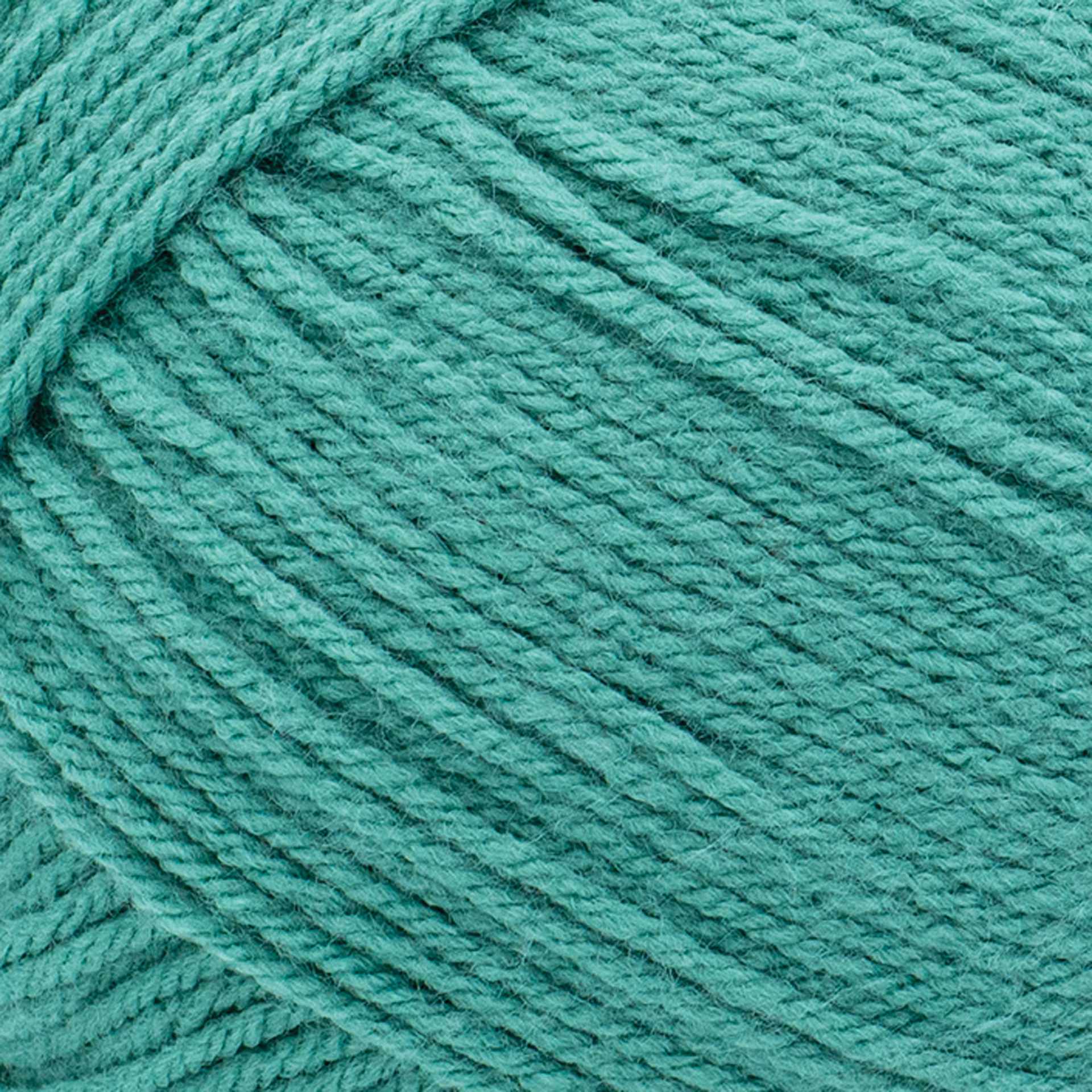Lion Brand Pound of Love Yarn - Waterfall, 16 oz close up to show texture