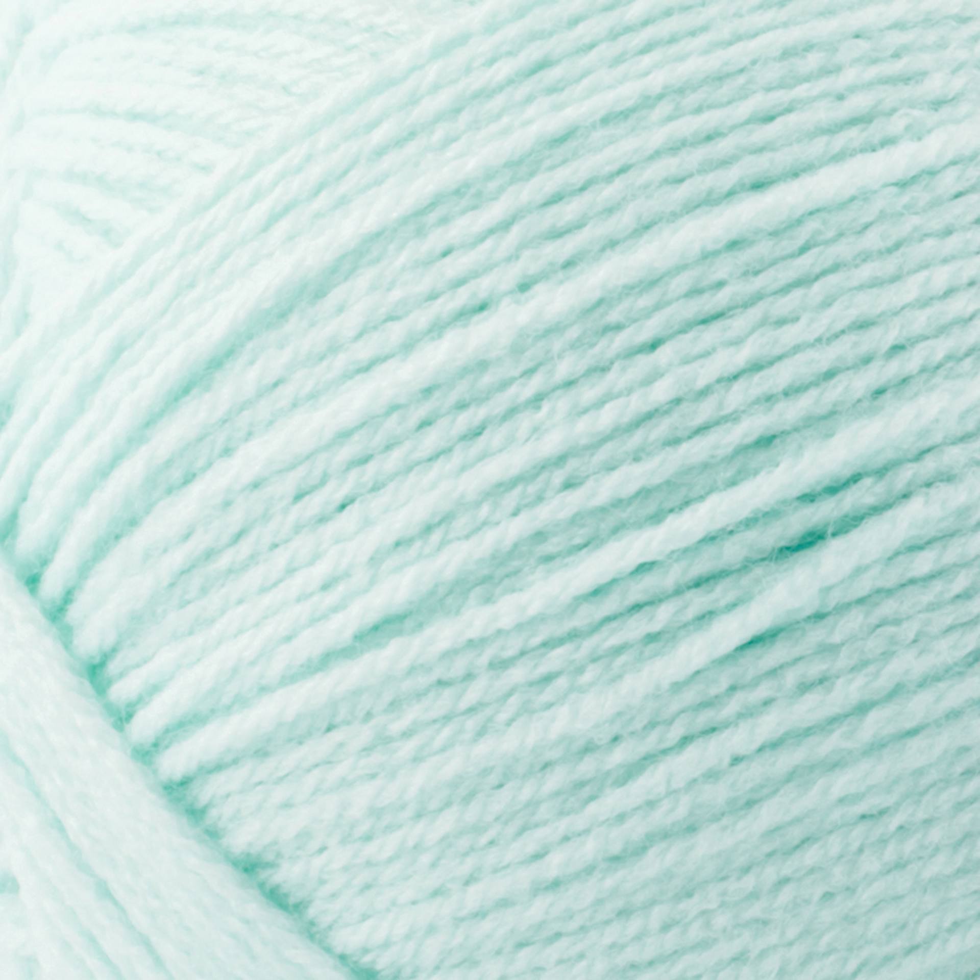 Lion Brand Pound of Love Yarn - Pastel Green, 16 oz close up to show texture