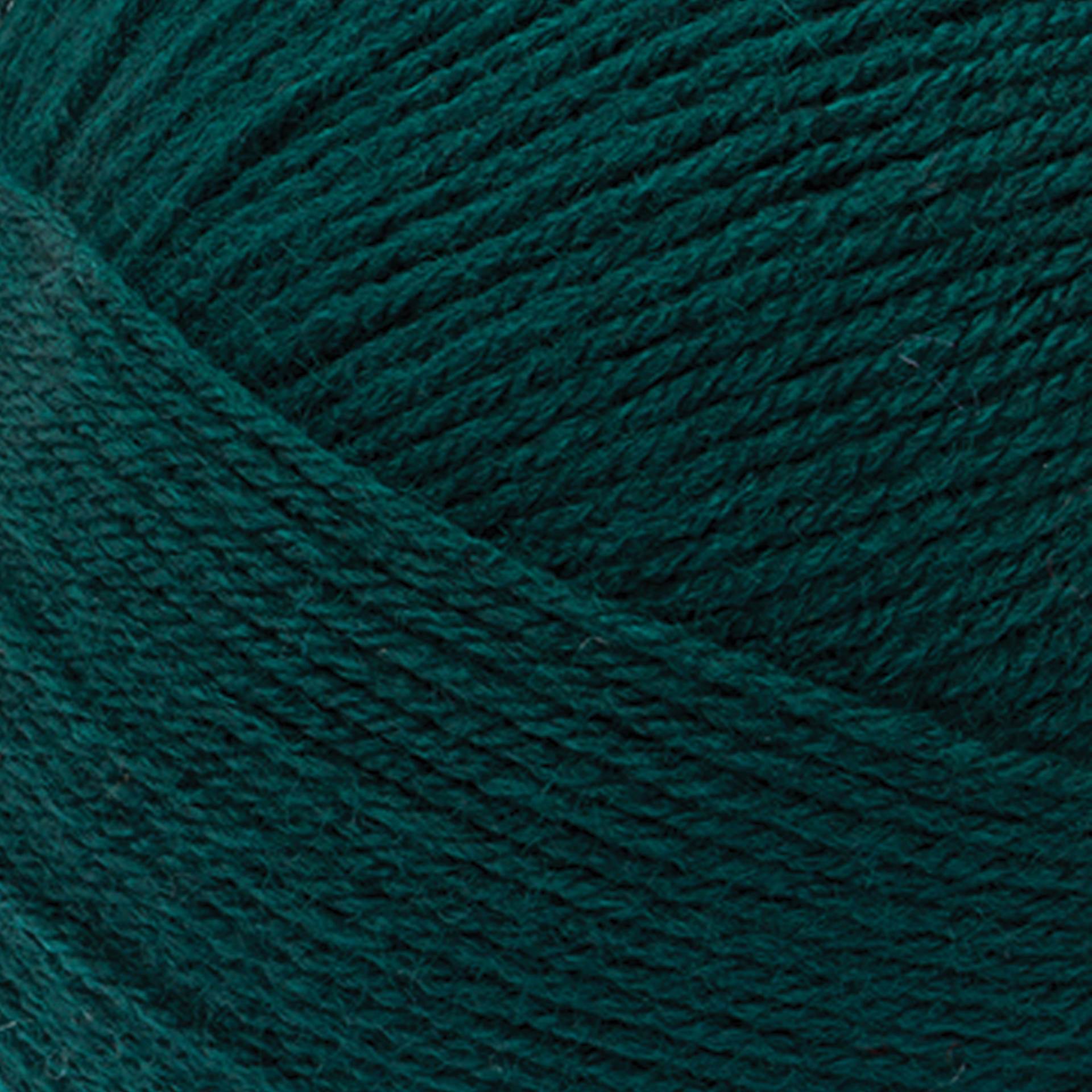 Lion Brand Pound of Love Yarn - Hunter Green, 16 oz close up to show texture