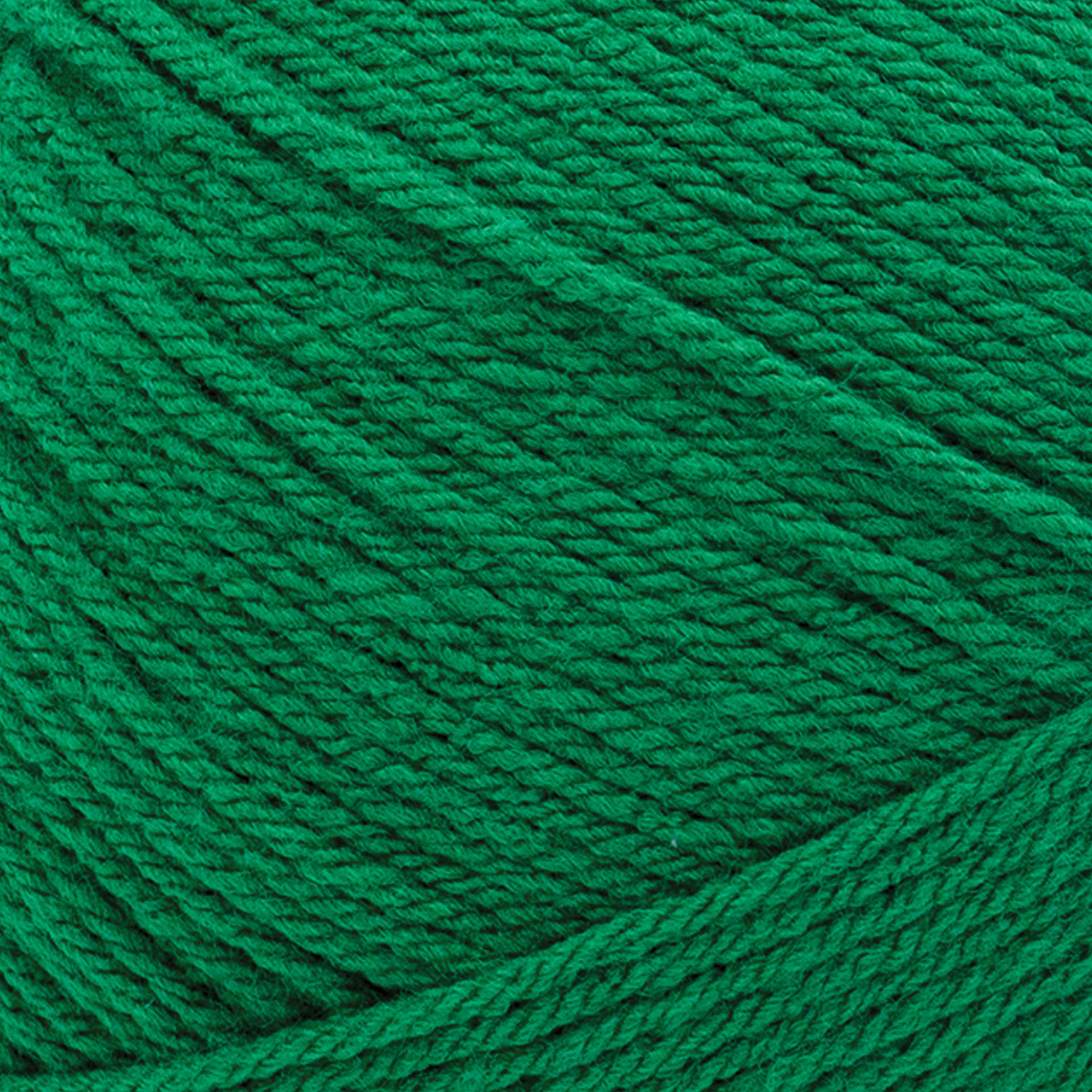 Lion Brand Pound of Love Yarn - Wintergreen, 16 oz close up to show texture