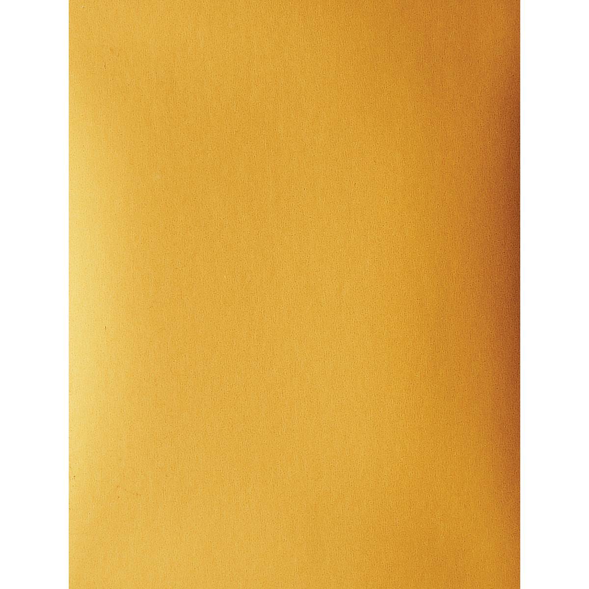 Cricut Joy Cards, Inserts, and Envelopes - Cream/Gold Metallic, Package of 12 (Gold Metallic Insert)