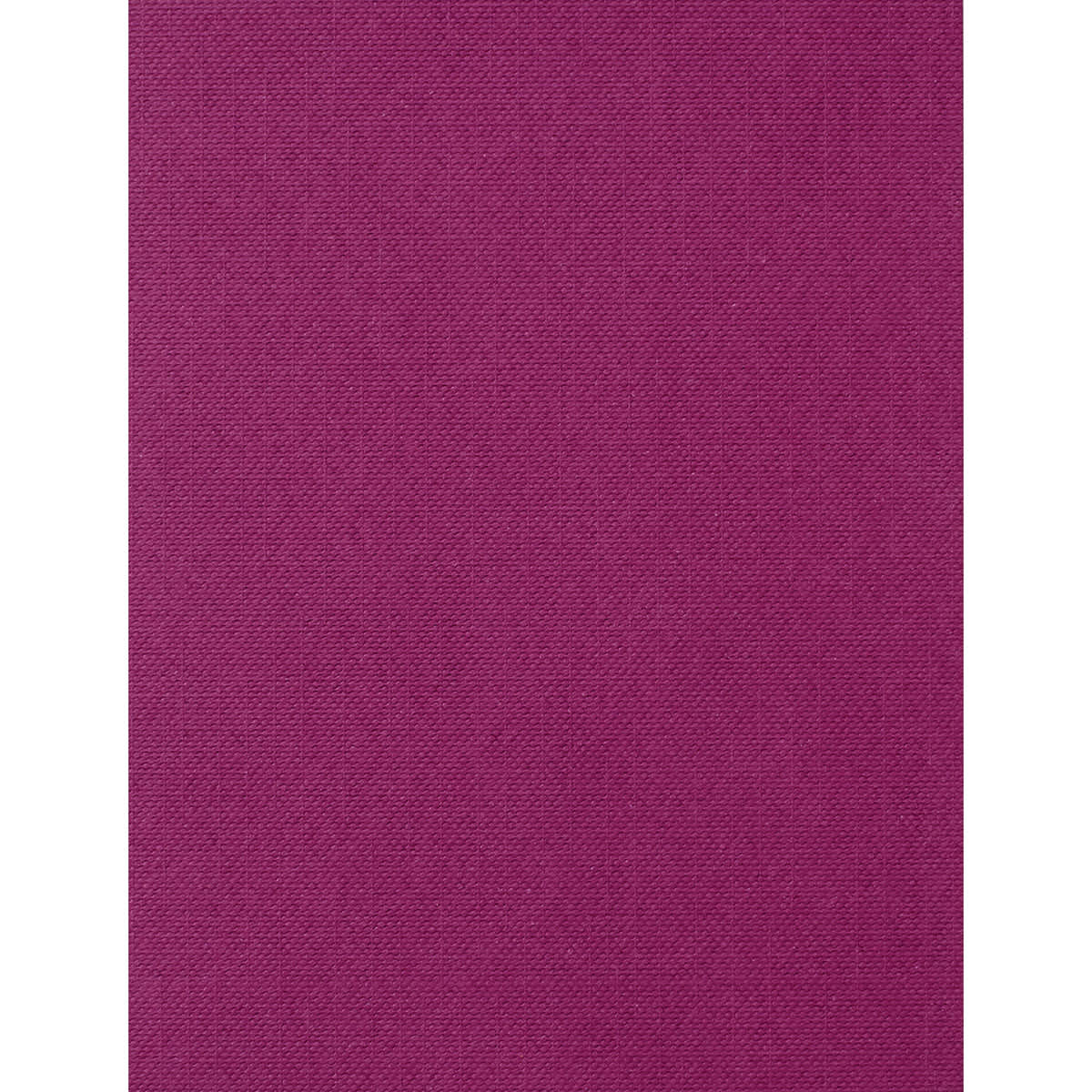 Cricut Joy Cards, Inserts, and Envelopes - Mesa, Package of 12 (Wilder Aster Insert)