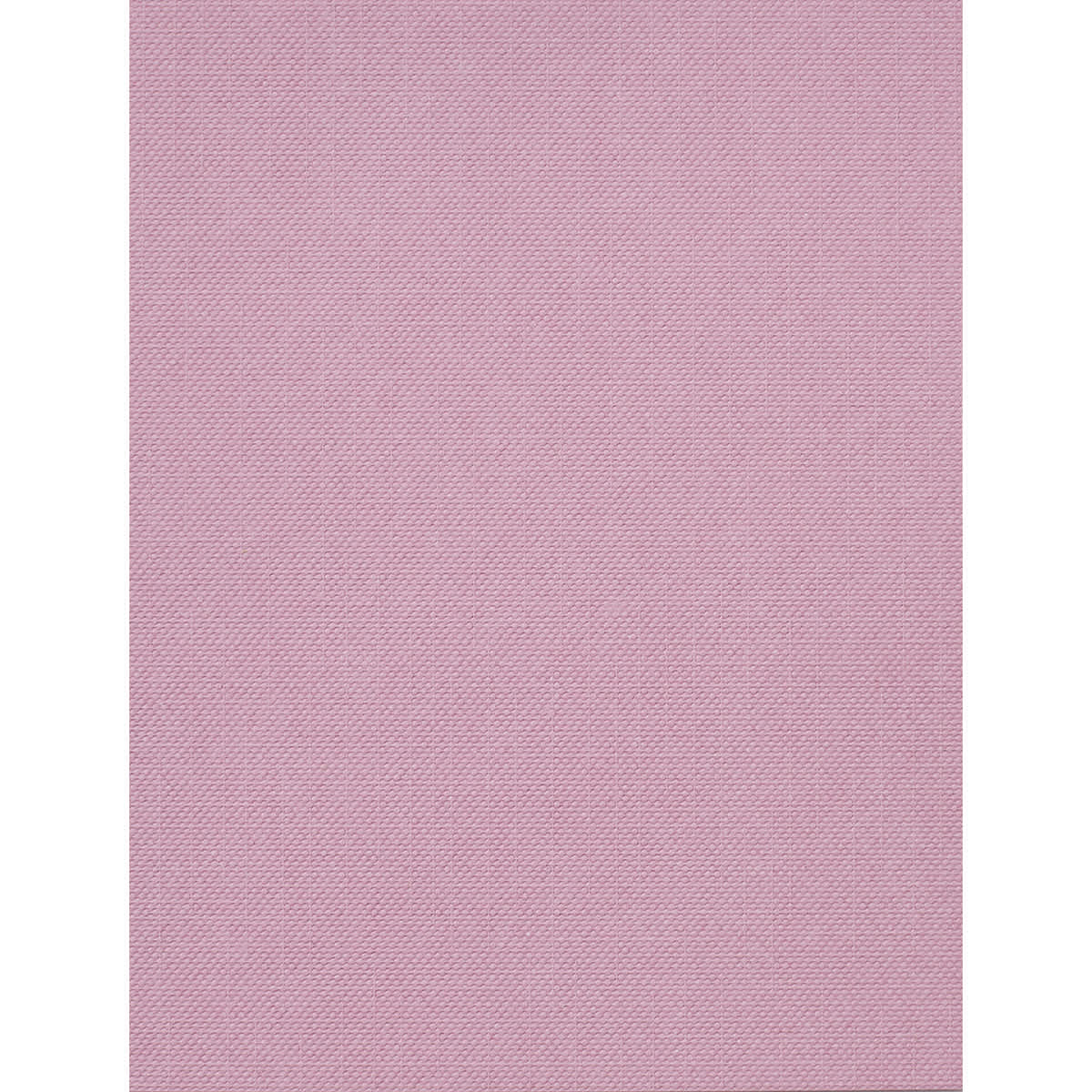Cricut Joy Cards, Inserts, and Envelopes - Pastel, Package of 12 (Lavender Insert)