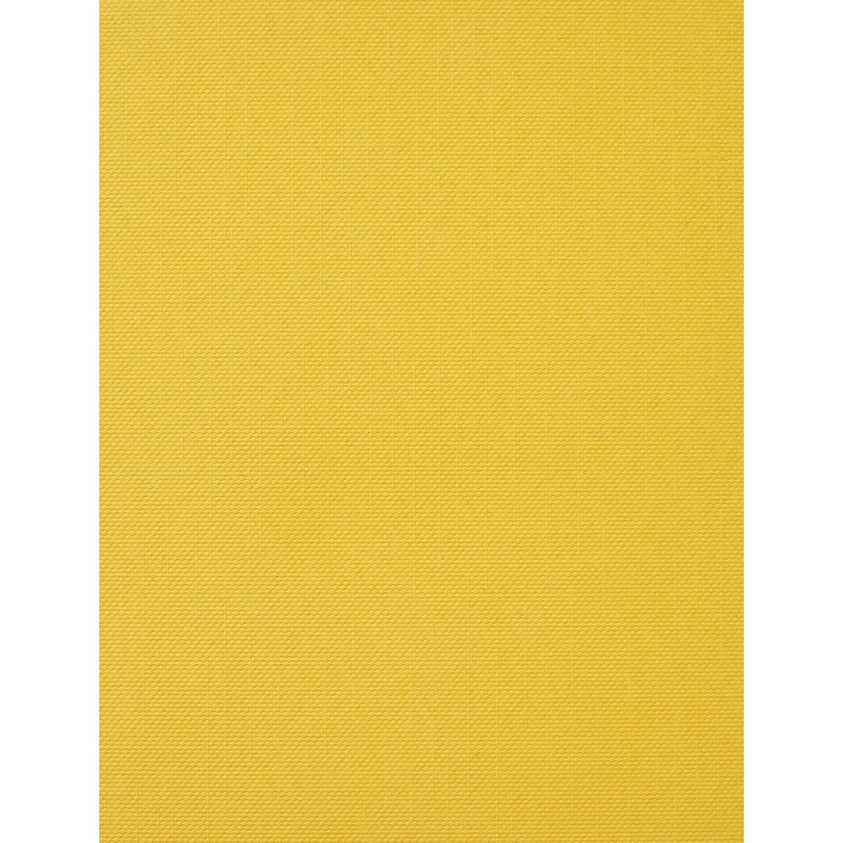 Cricut Joy Cards, Inserts, and Envelopes - Fingerpaint, Package of 12 (Yellow Insert)