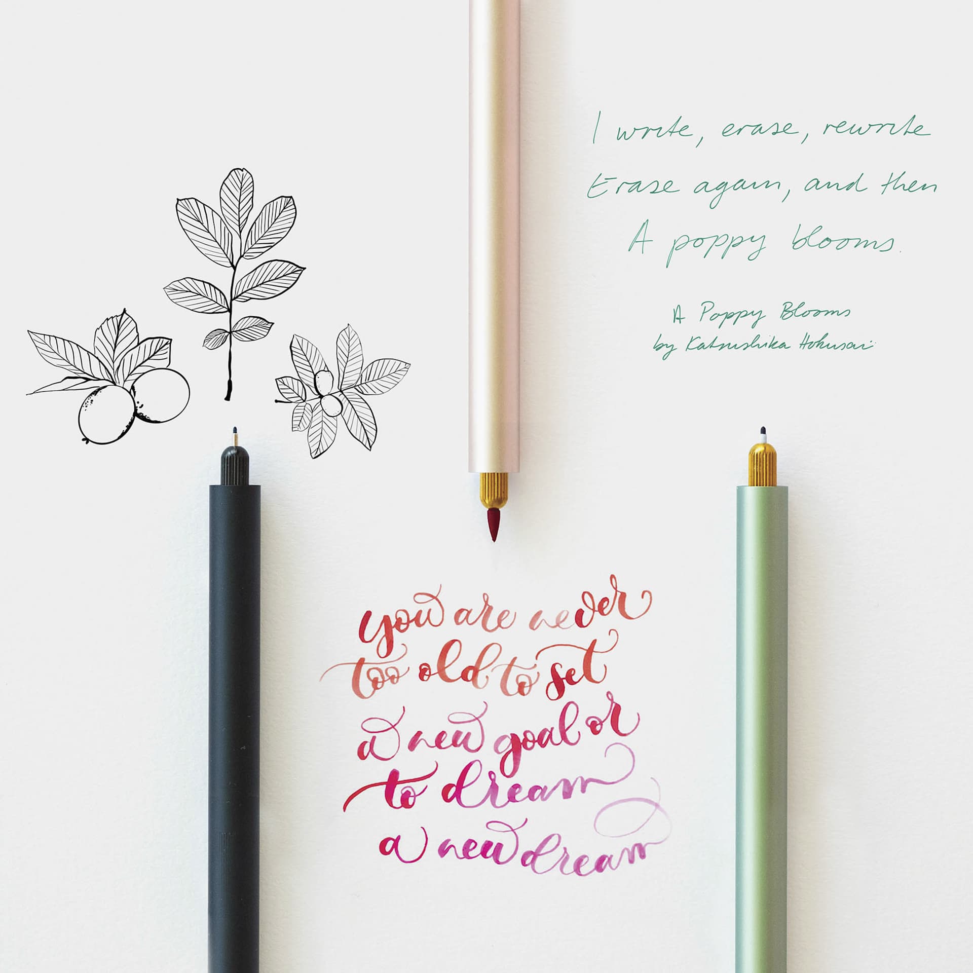 Tom's Studio Lumos Pro Refillable Single Tip Pens, close-up of writings