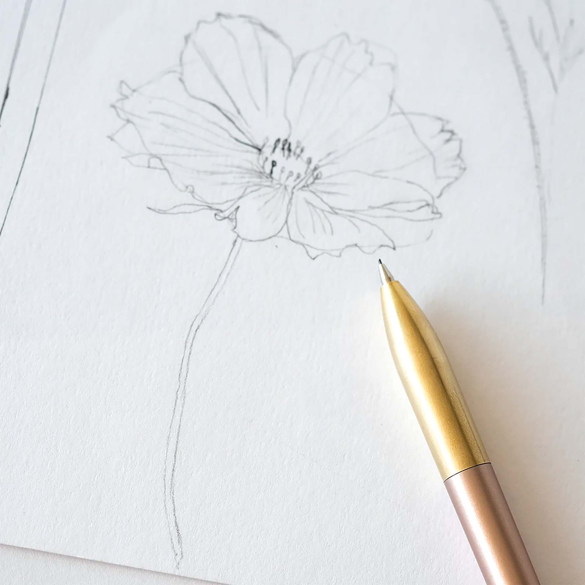 Tom’s Studio Mechanical Pencils, flower drawing