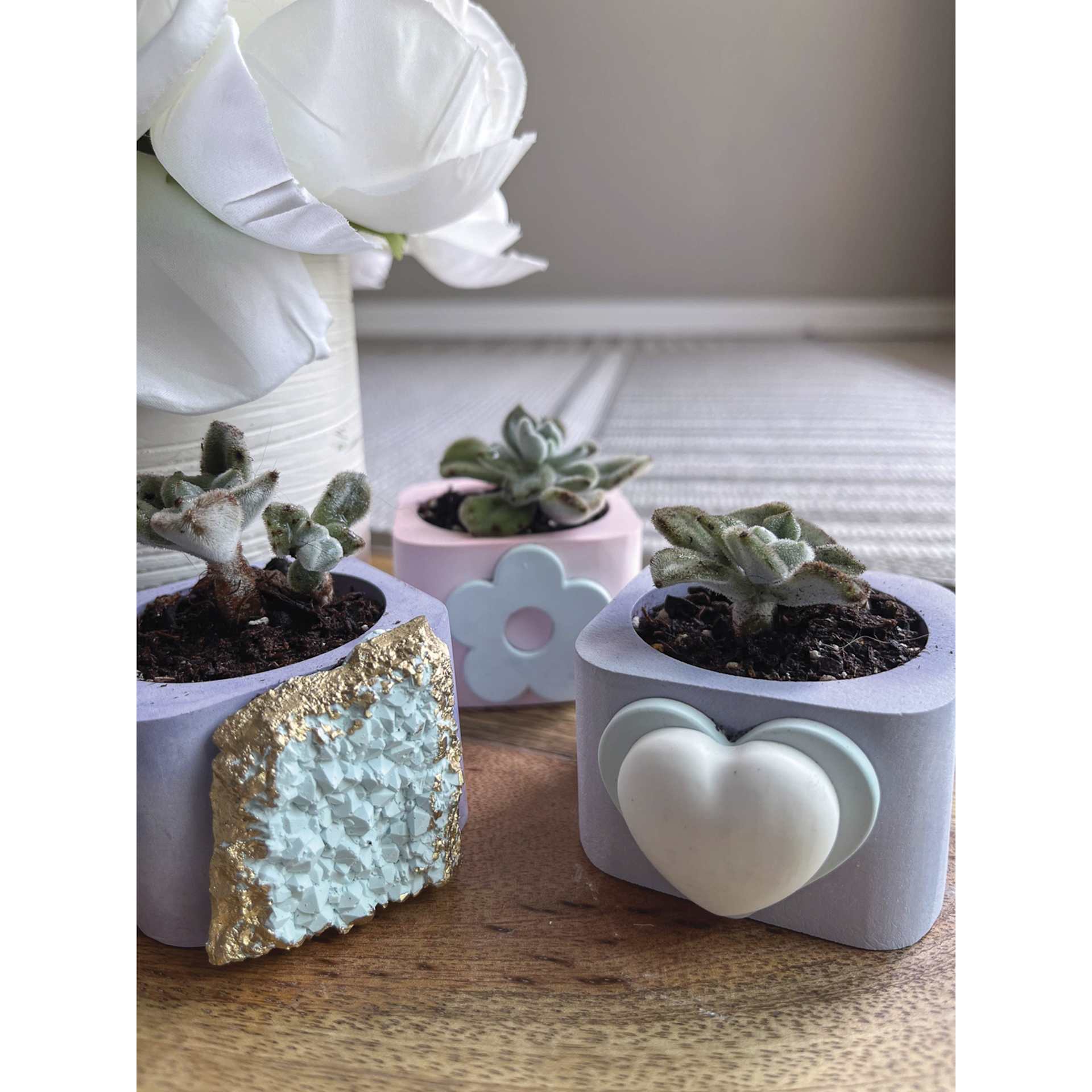 Alumilite Amazing HydroCast Starter Kit - finished succulent pot examples