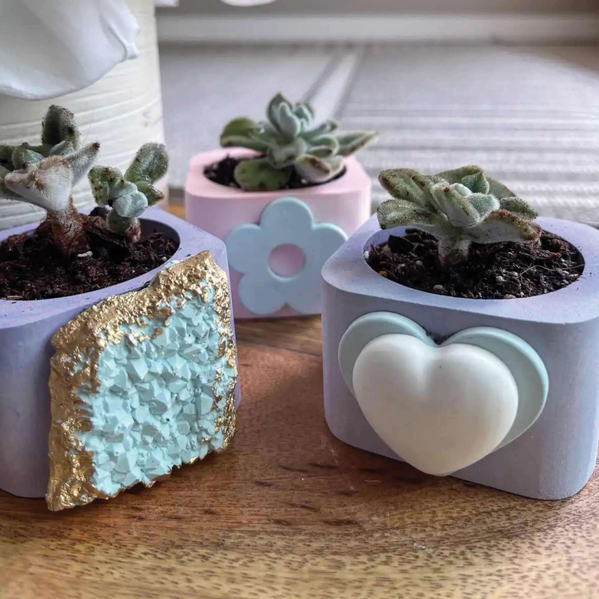 Alumilite Amazing HydroCast Starter Kit - finished decorative plant holder examples