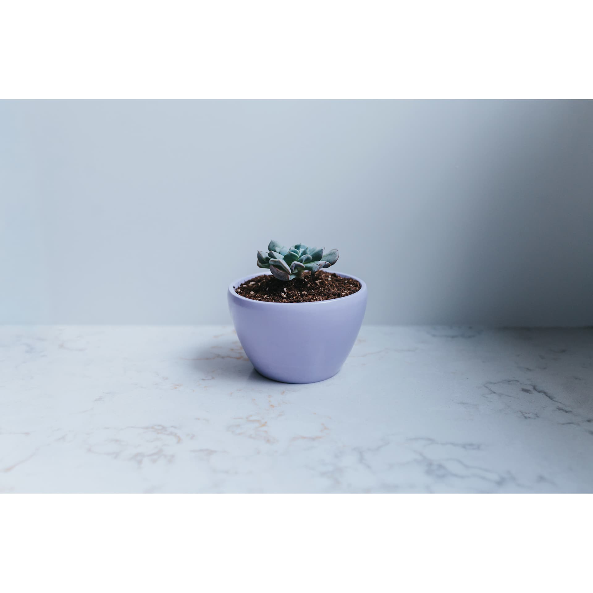 Jesmonite Silicone Pot Mold - Shaped Pot completed project resting on counter top