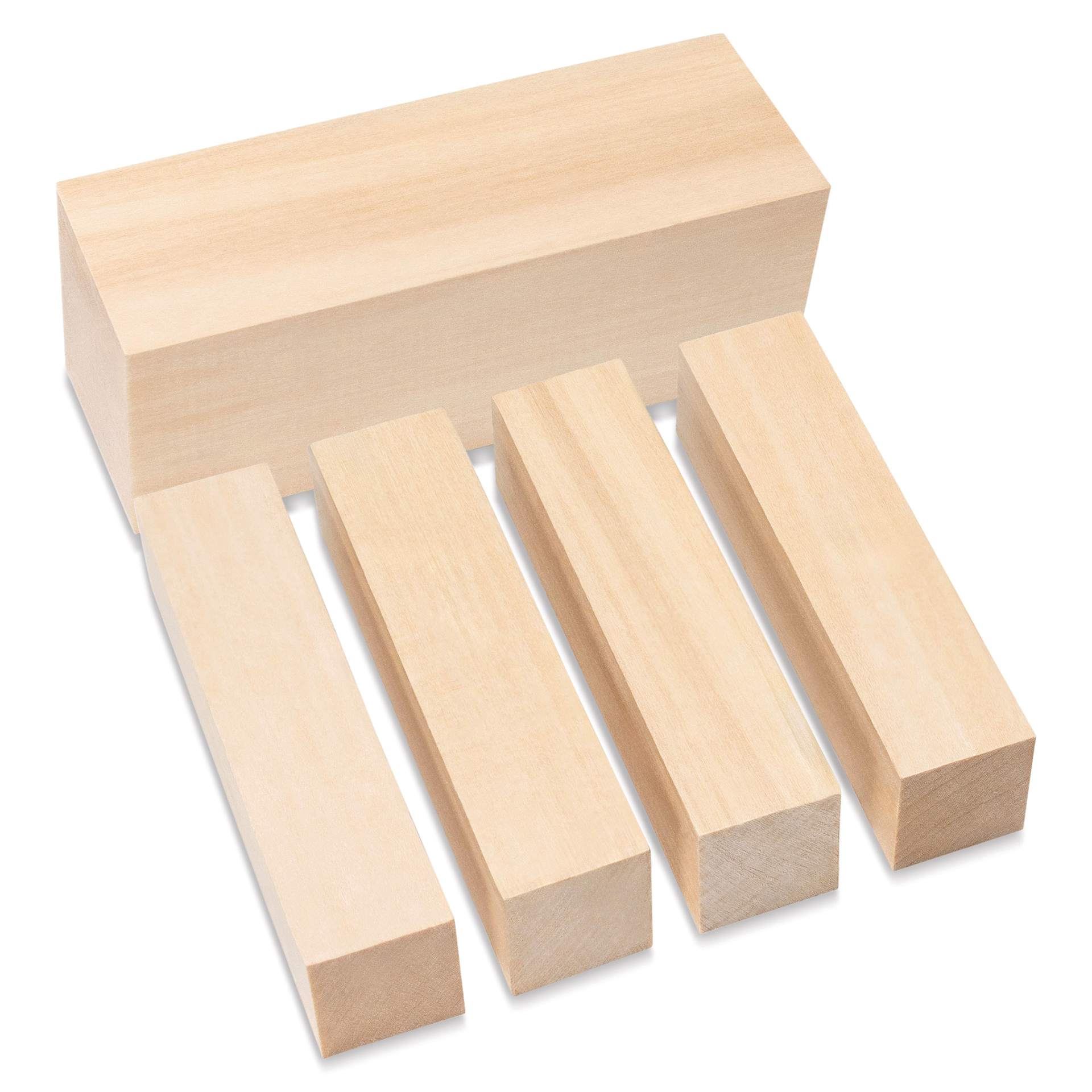 BeaverCraft Basswood Carving Block Set - Pkg of 5, Assorted Sizes