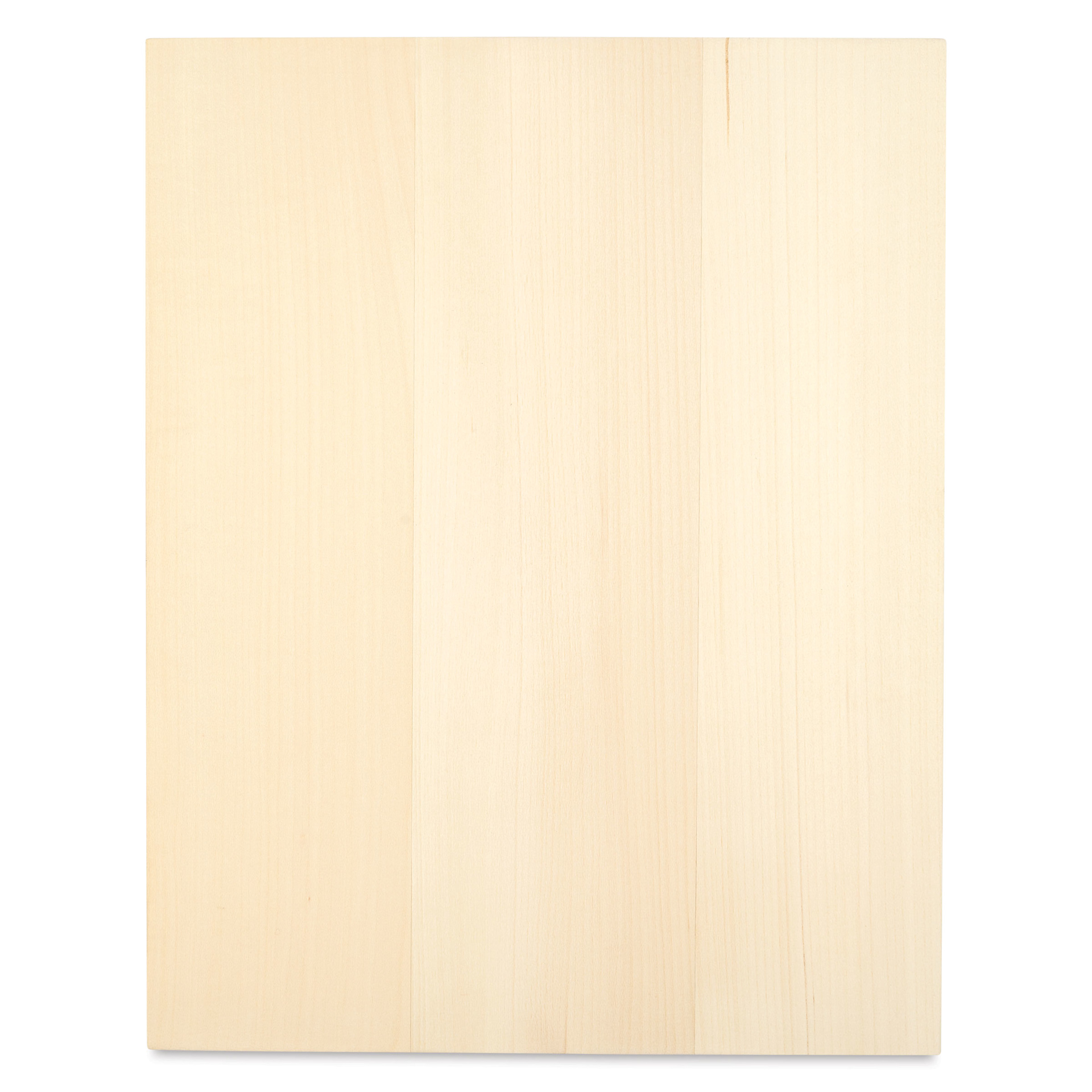 Foggy Bottom Woodworks Basswood Panel - 11" x 14", front