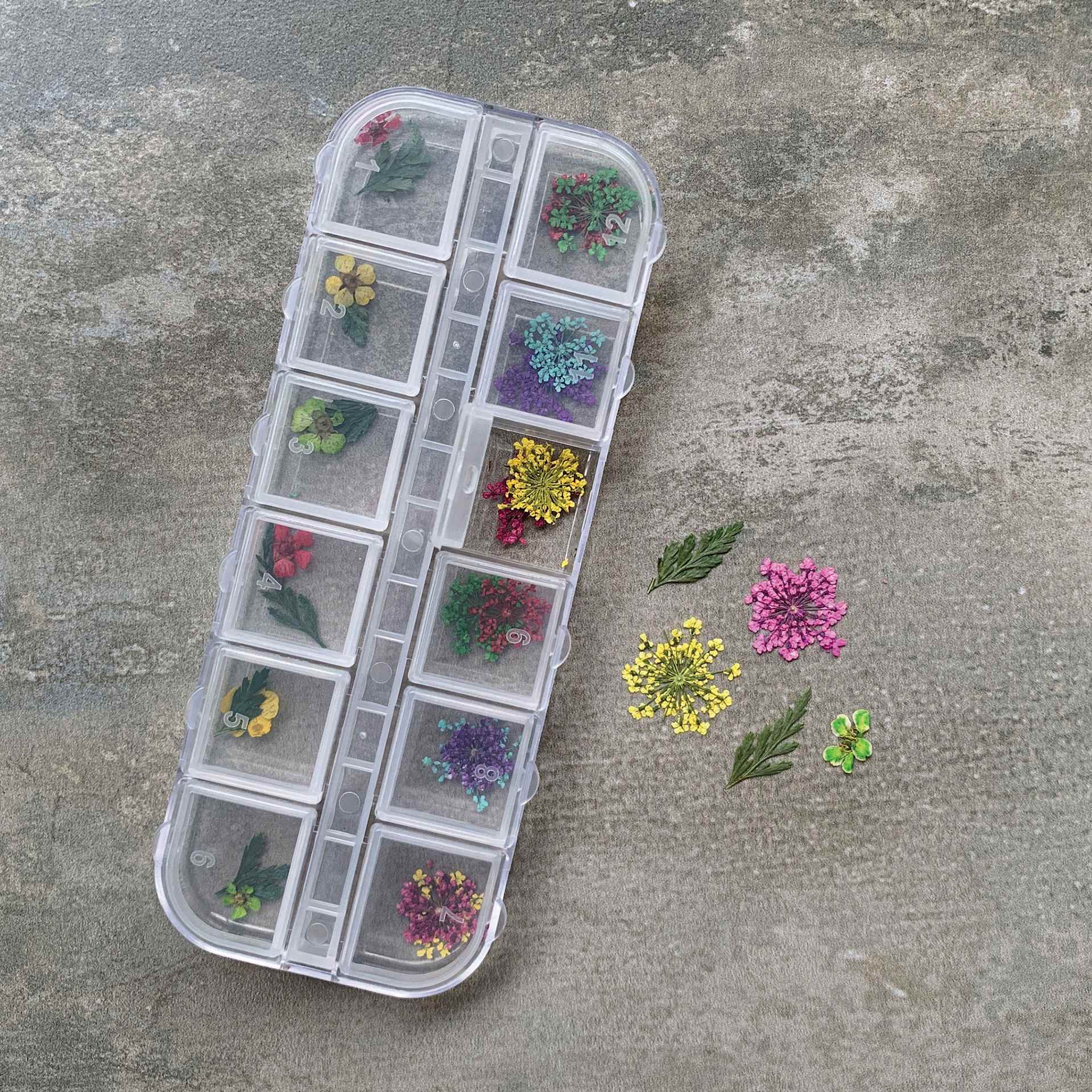 Jewelry Made By Me Dried Flower Inclusions - Pkg of 24, Small with Case