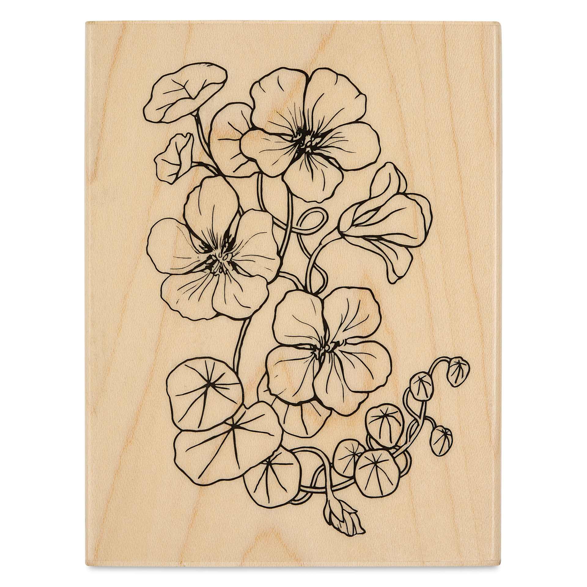 Hero Arts Flowering Woodblock Stamp - Nasturtium, printed side