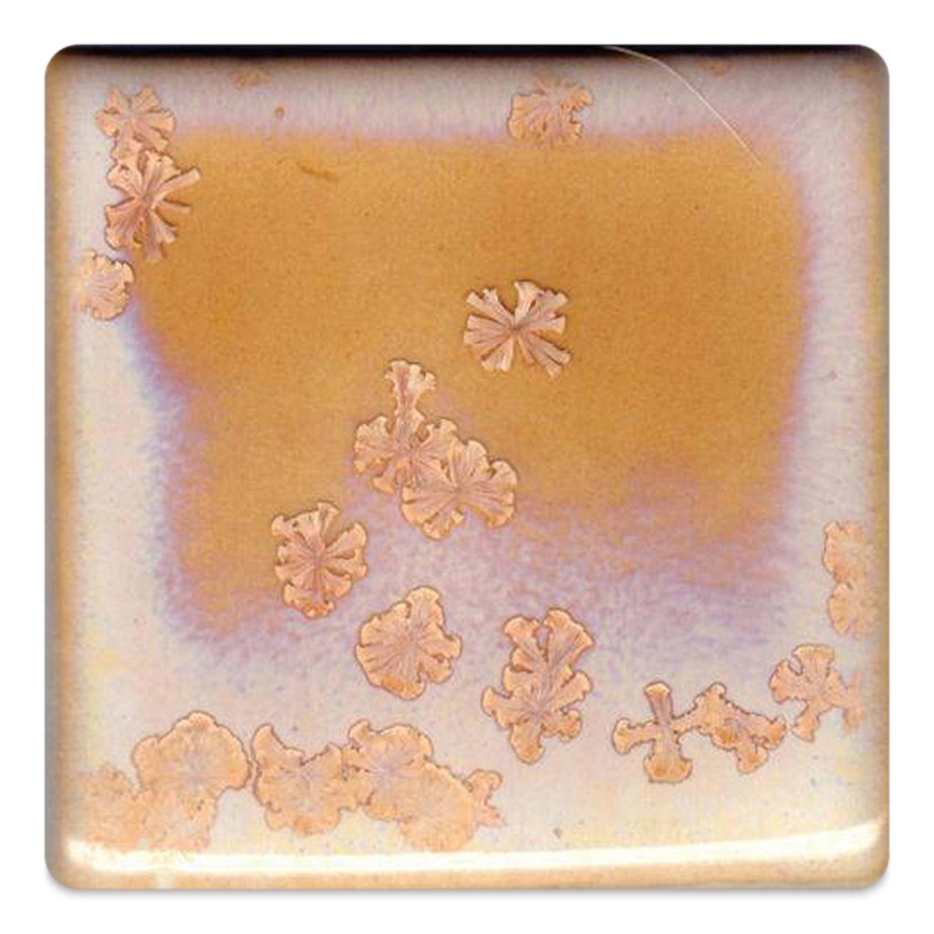 Coyote Crystalline Slow-Cool Glaze - Rose, 16 oz