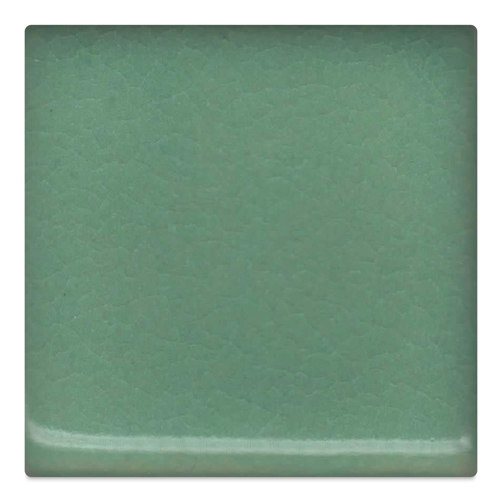 Coyote Gloss Glaze - Mint, 16 oz