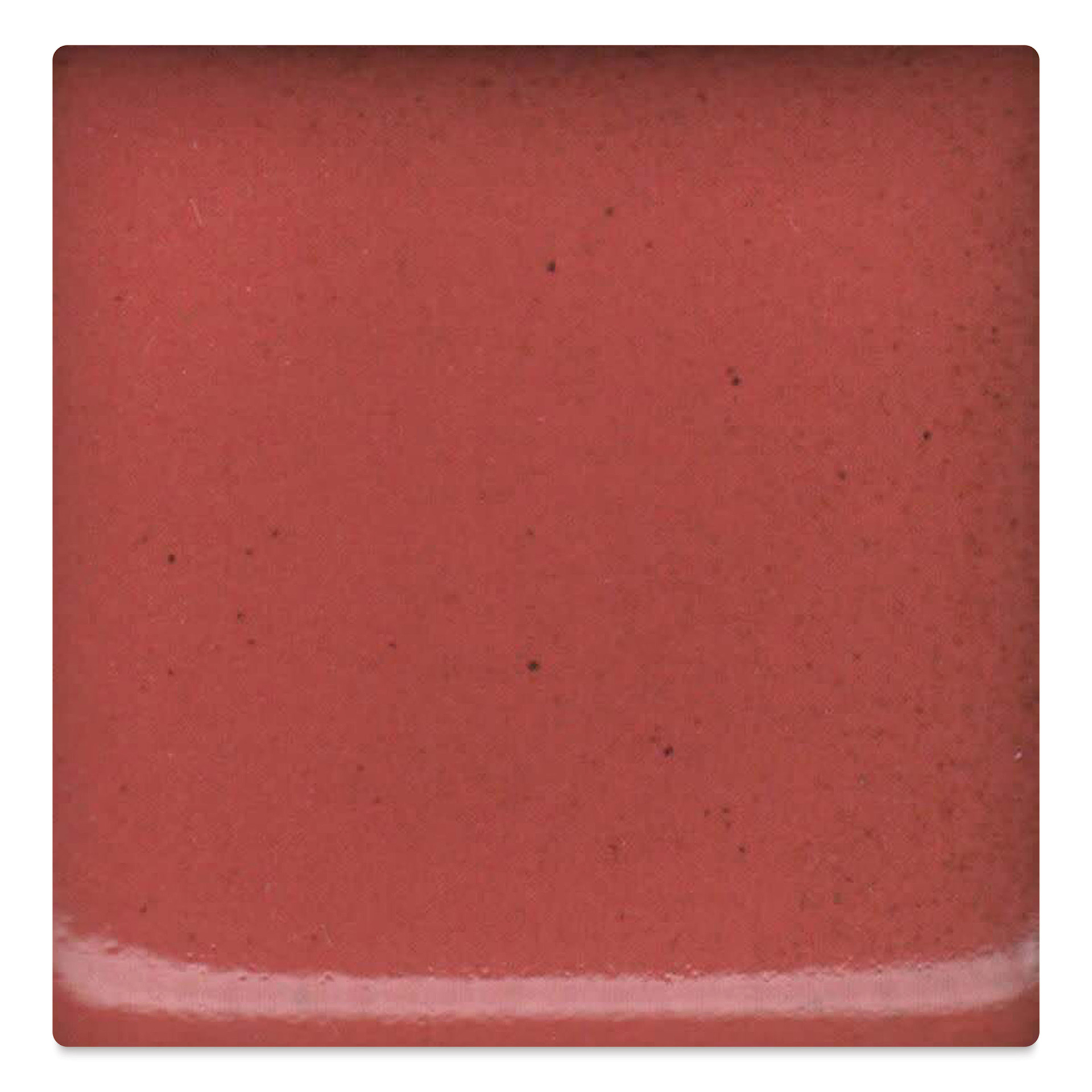 Coyote Shino Glaze - Cedar, 16 oz
