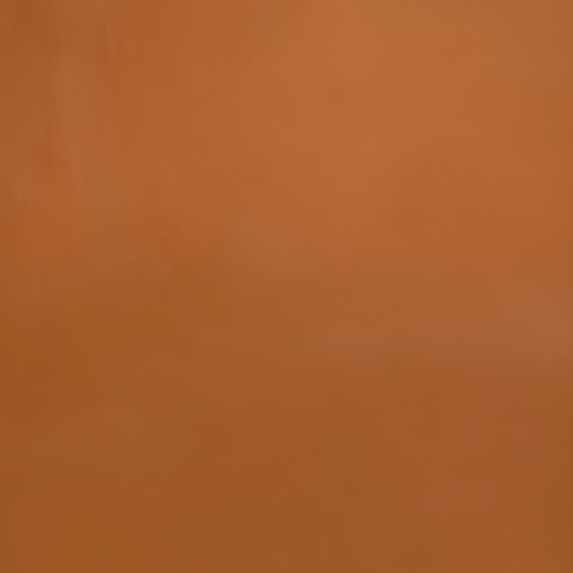 Realeather Persi Leather Trim - Tan, 8-1/2" x 11", close-up