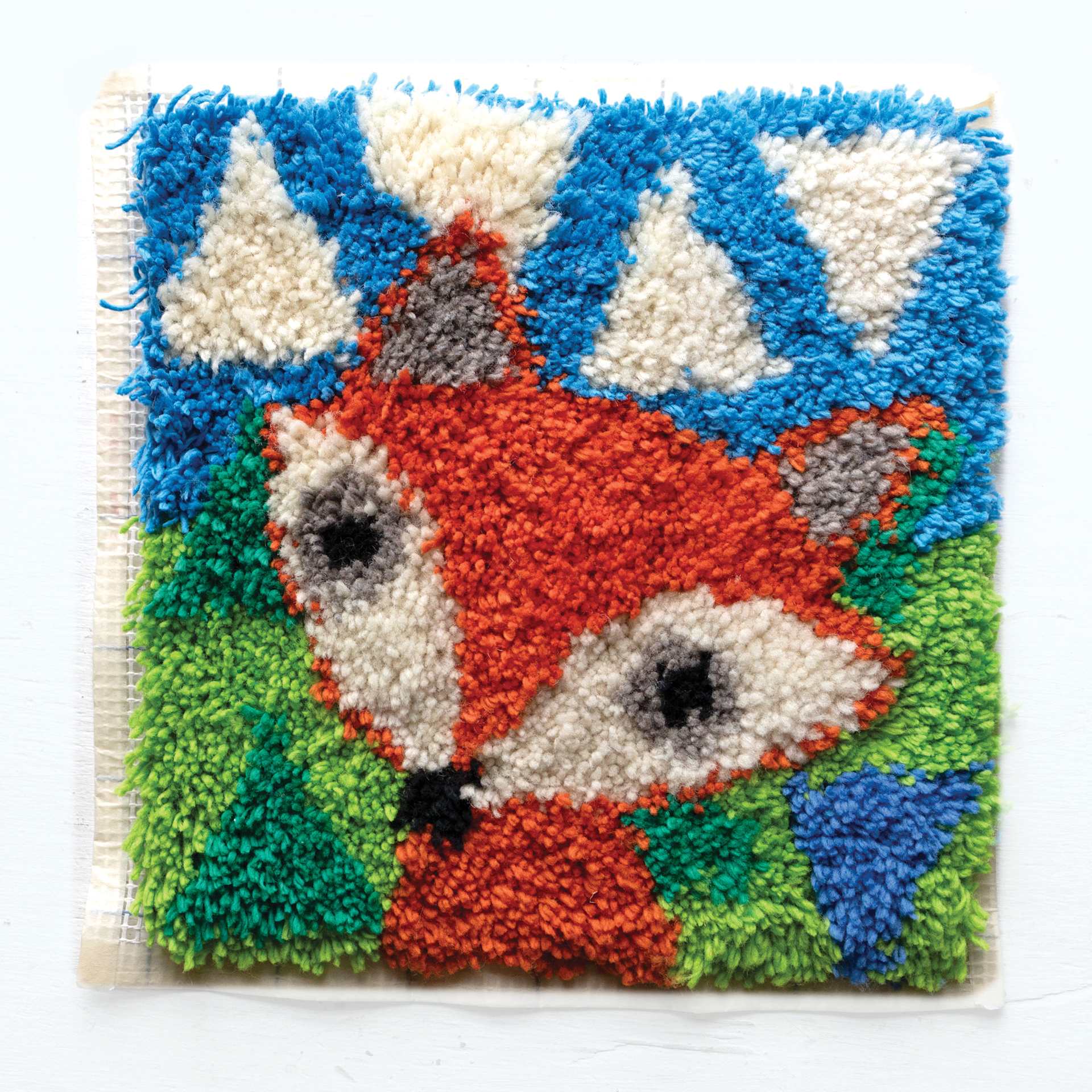 Friendly Loom Discover Latch Hooking Kit - Fox