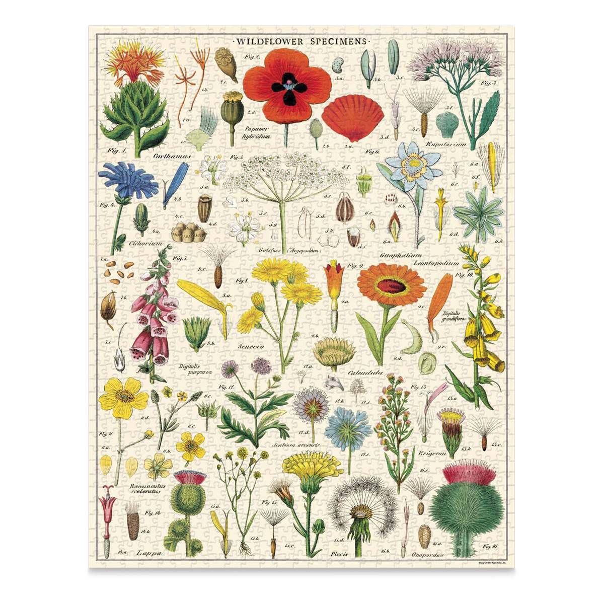 Cavallini Vintage Wildflowers 1,000 Piece Puzzle