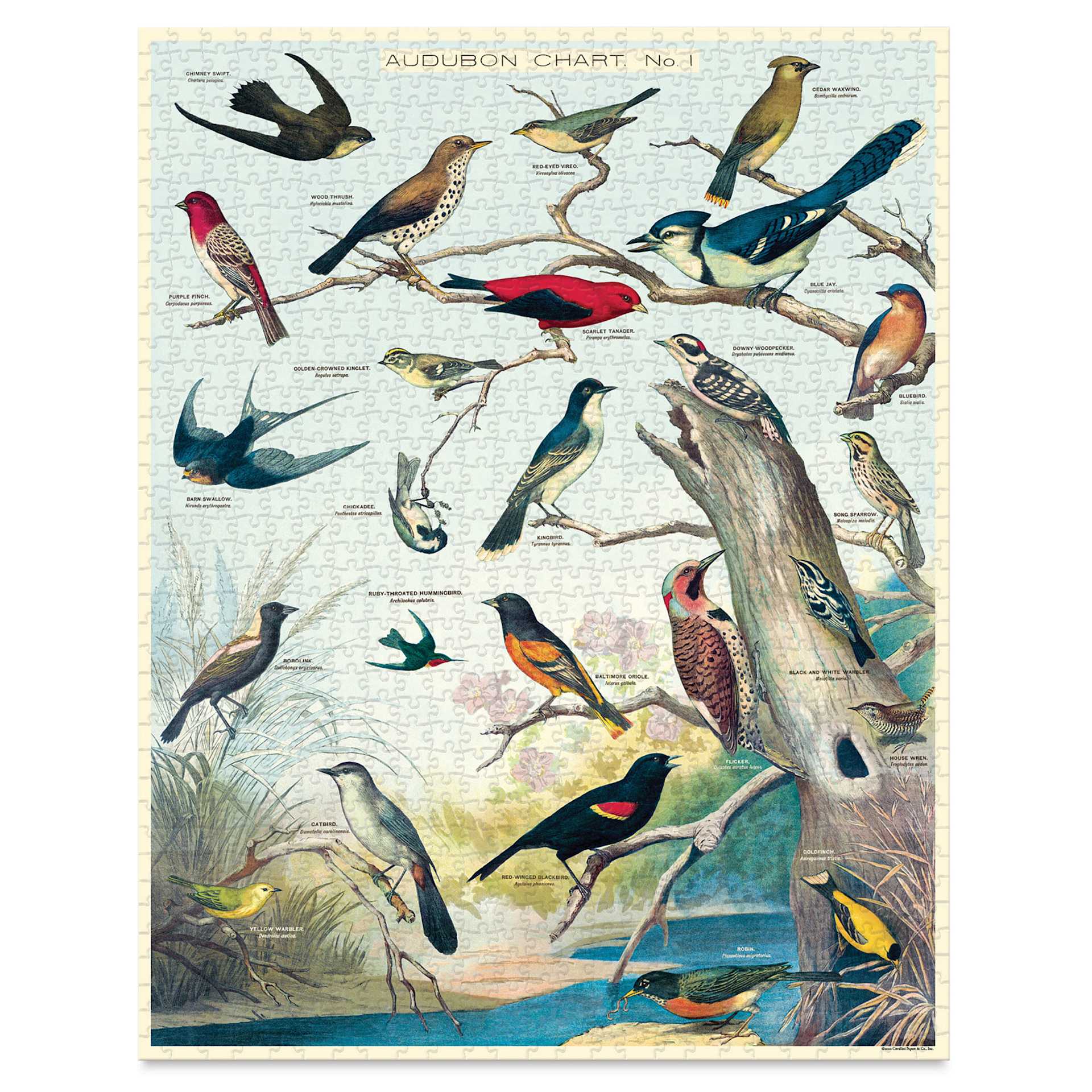Cavallini Vintage Audubon Birds 1,000 Piece Puzzle (Completed puzzle)