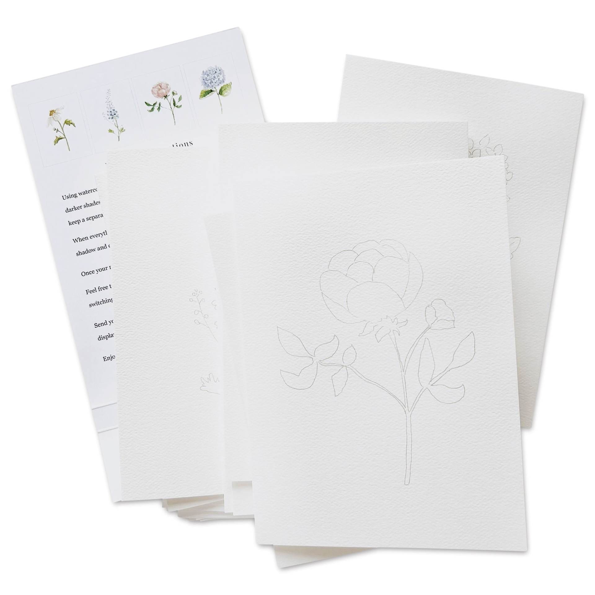 Emily Lex Studio Garden Flowers Paintable Notecards - 5' x 7", Pkg of 8, package contents