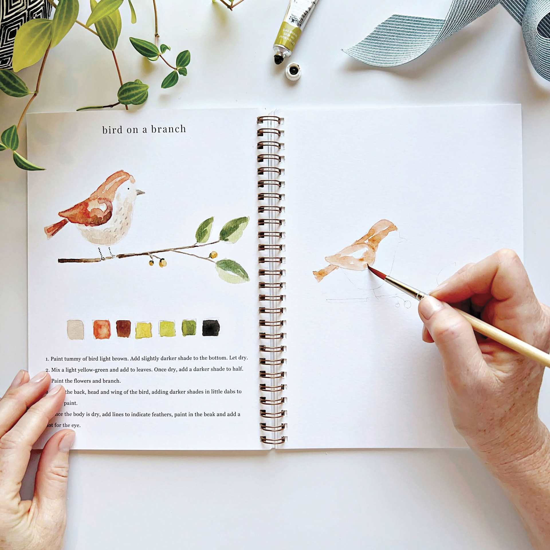 Emily Lex Studio Animals Watercolor Workbook, bird on a branch sketch