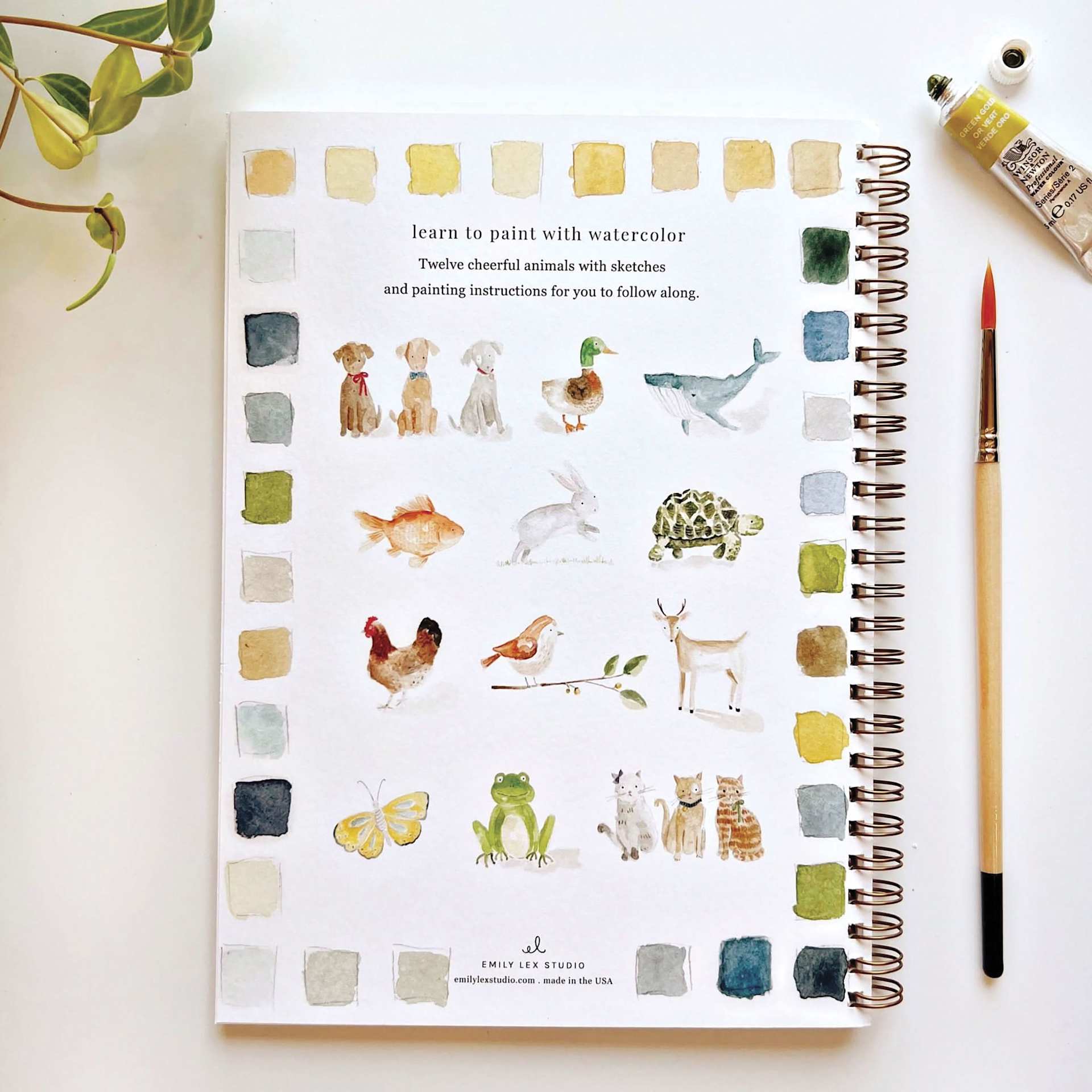 Emily Lex Studio Animals Watercolor Workbook, on desk