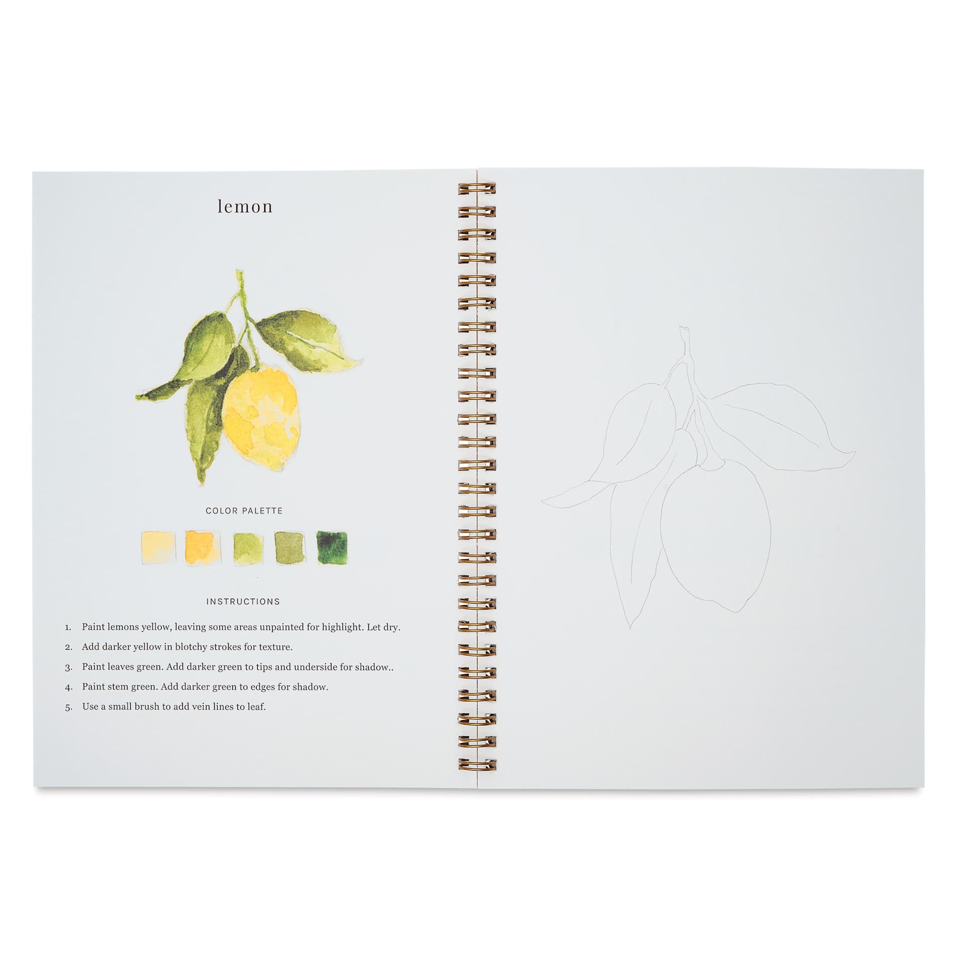 Emily Lex Studio Fruit Watercolor Workbook - 6-1/2" x 9", lemon