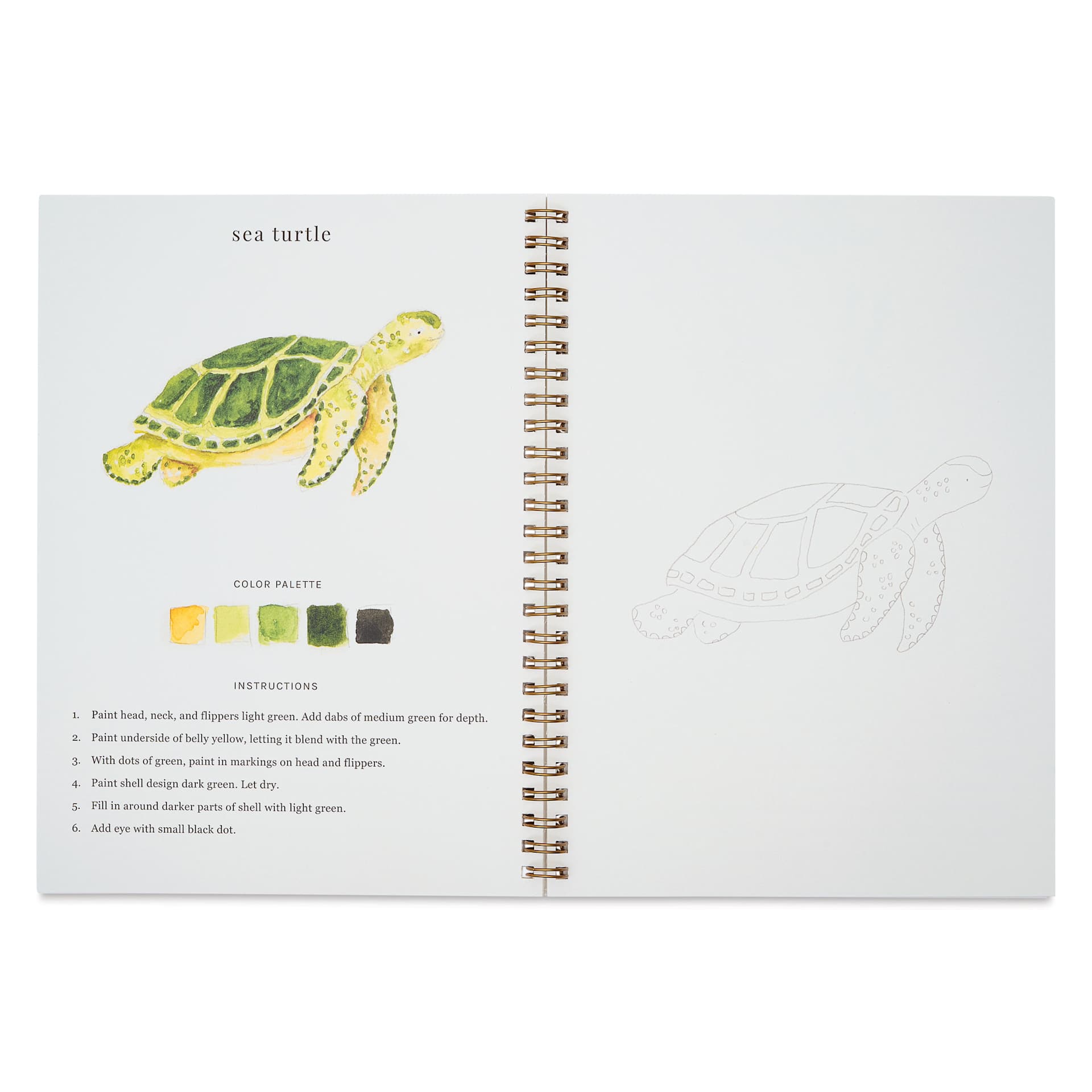Emily Lex Studio Tropical Watercolor Workbook - 6-1/2" x 9", sea turtle