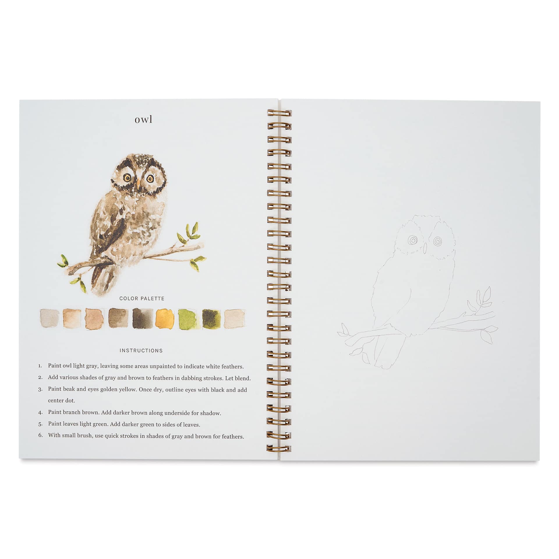 Emily Lex Studio Woodland Watercolor Workbook - 6-1/2" x 9", owl