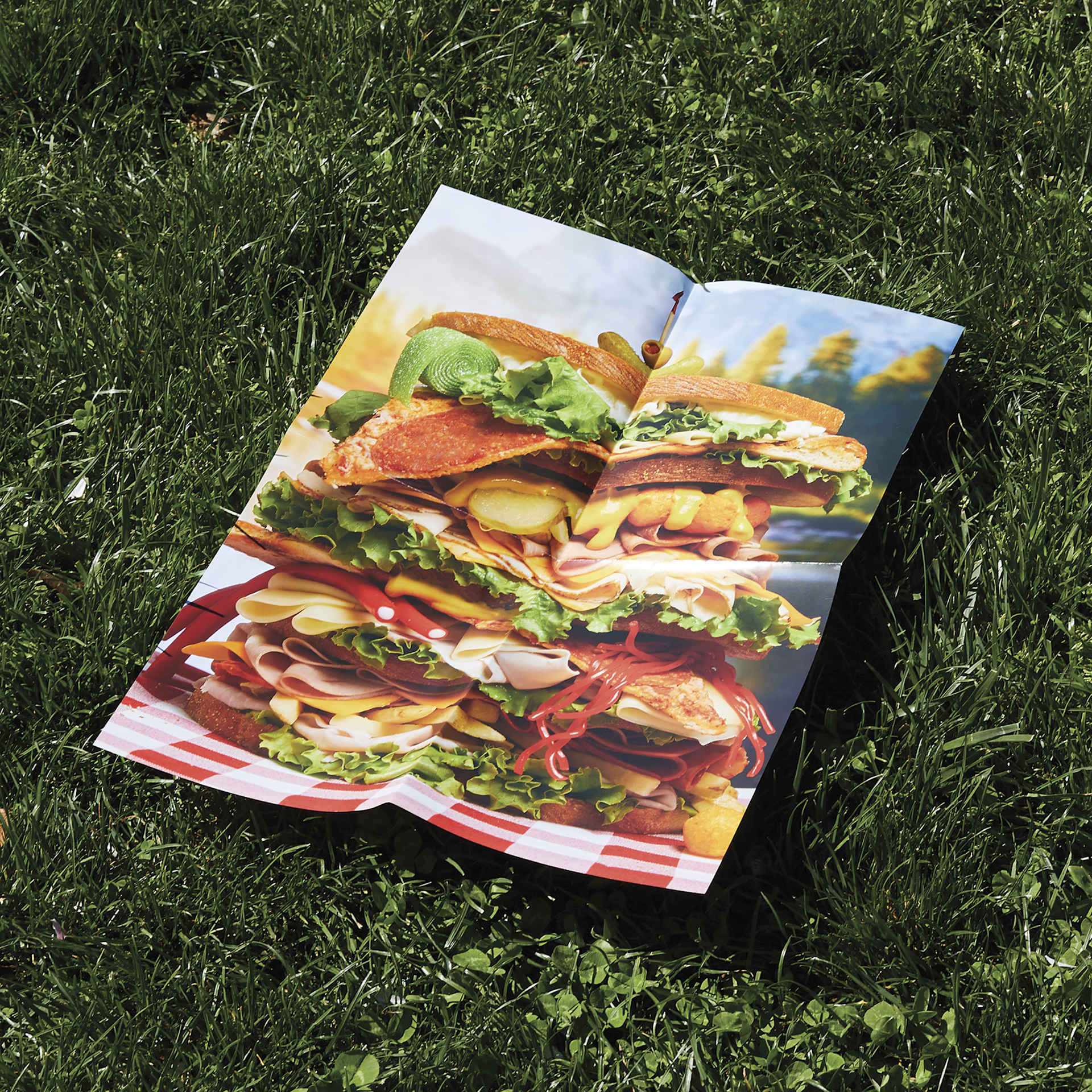 Le Puzz Big Sammy 500-Piece Puzzle - 18" x 25", puzzle artwork