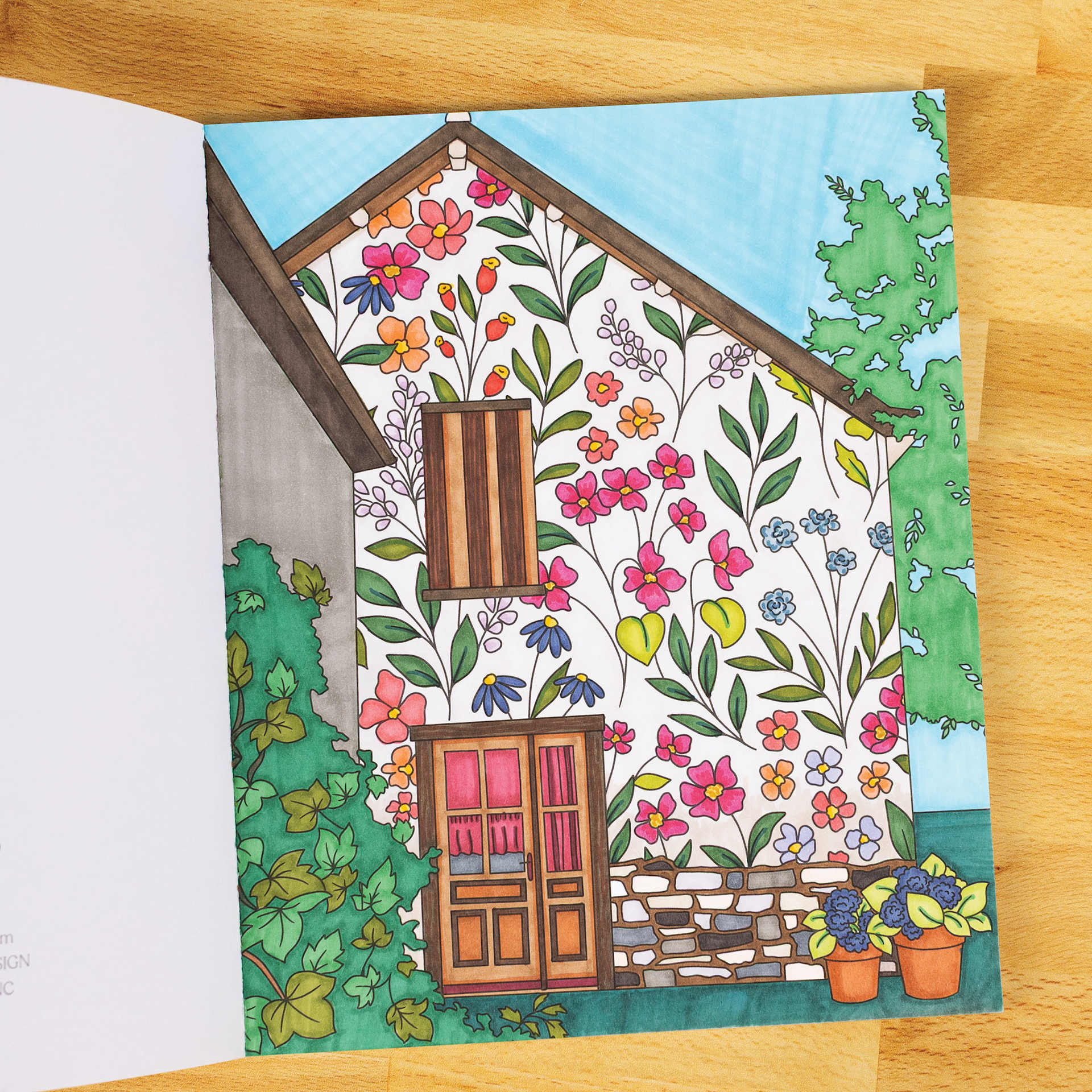 Elyse Breanne The Good Life Coloring Book, house
