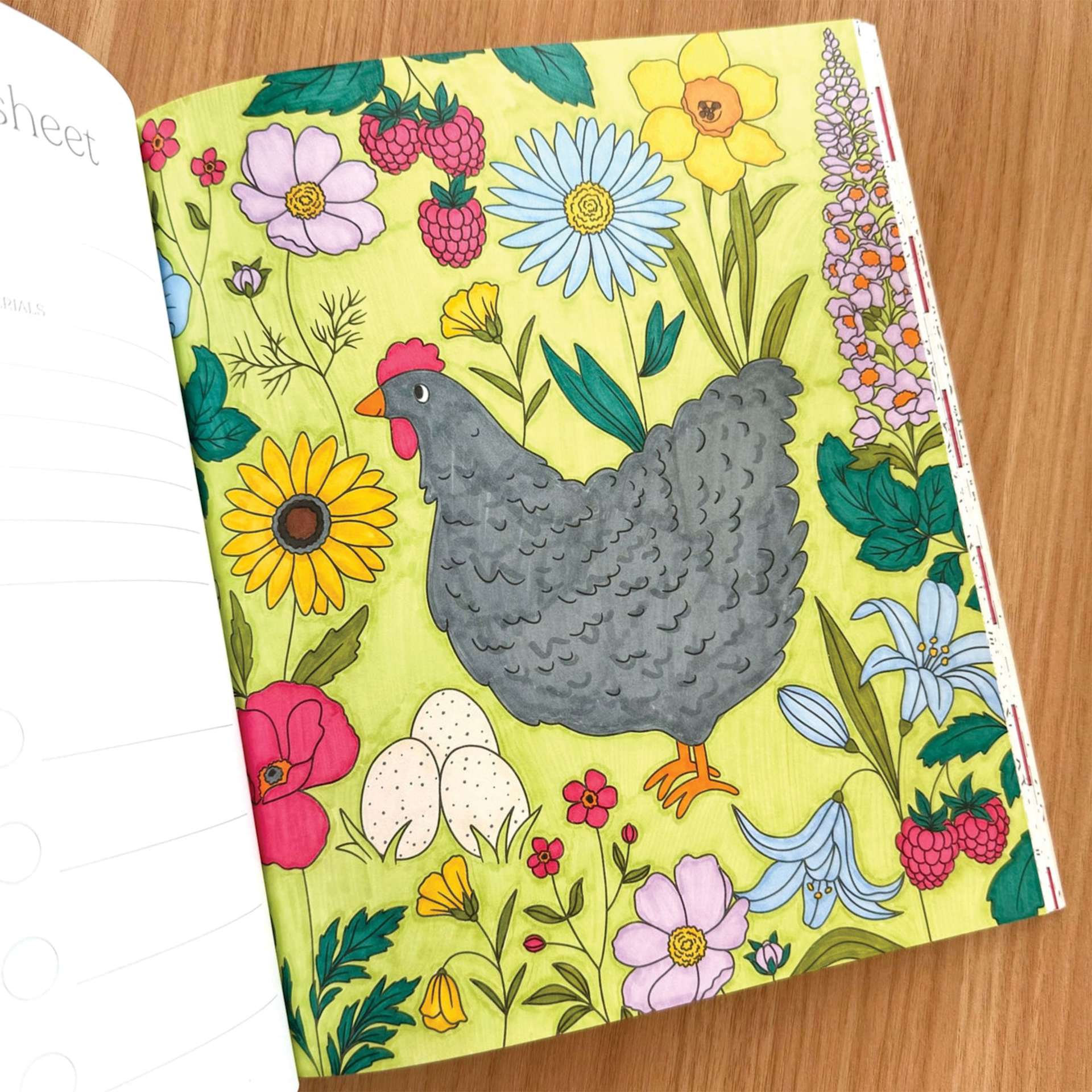 Elyse Breanne Farmer’s Market Coloring Book, hen