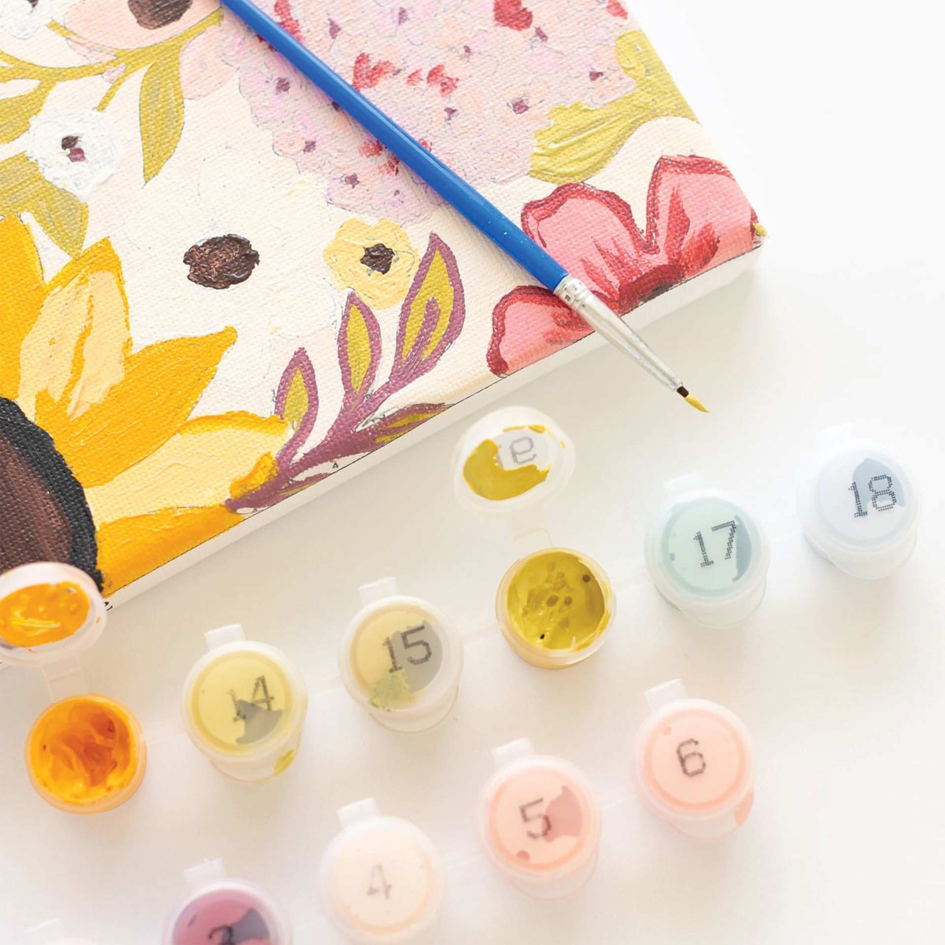 Elyse Breanne Paint By Number Kit - Rainbow Garden, paint colors