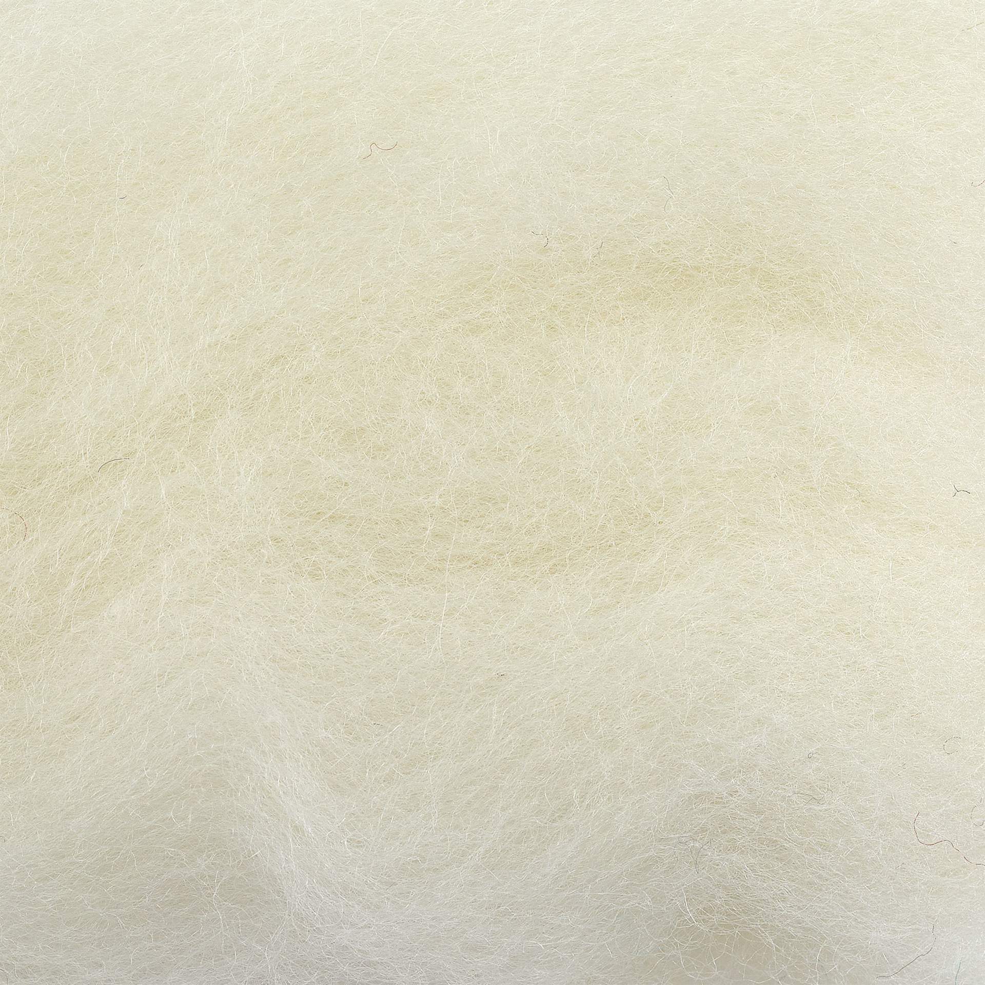 Wistyria Editions 100% Wool Roving - Natural - close-up