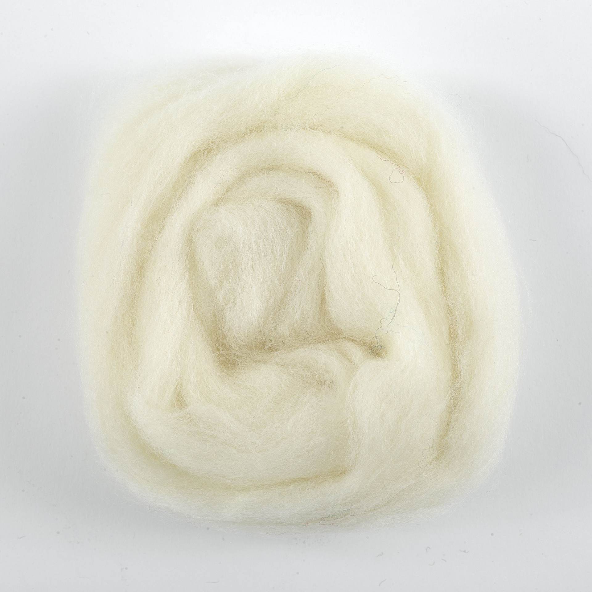Wistyria Editions 100% Wool Roving - Natural, 36" - on table