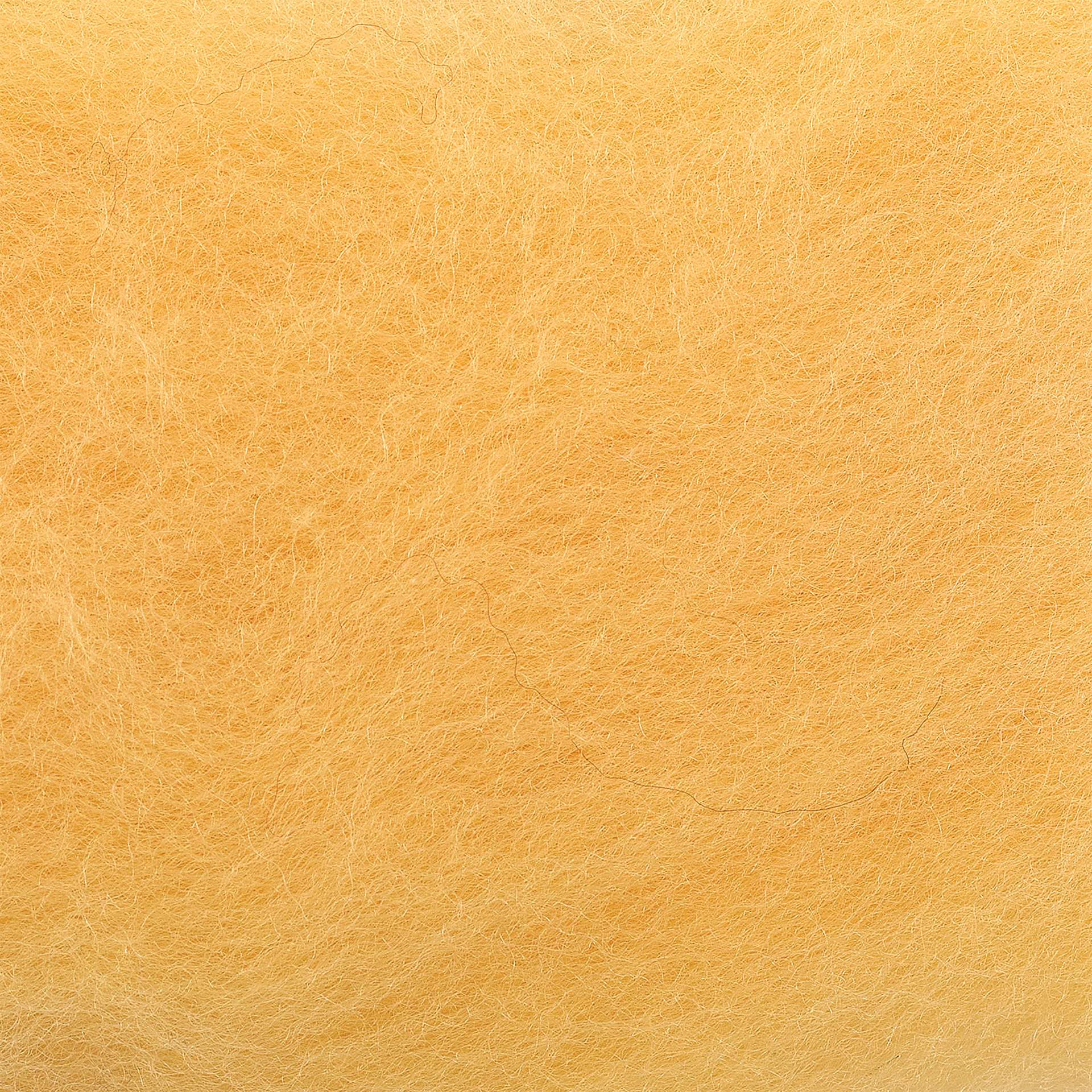 Wistyria Editions 100% Wool Roving - Honey, 14" - close-up