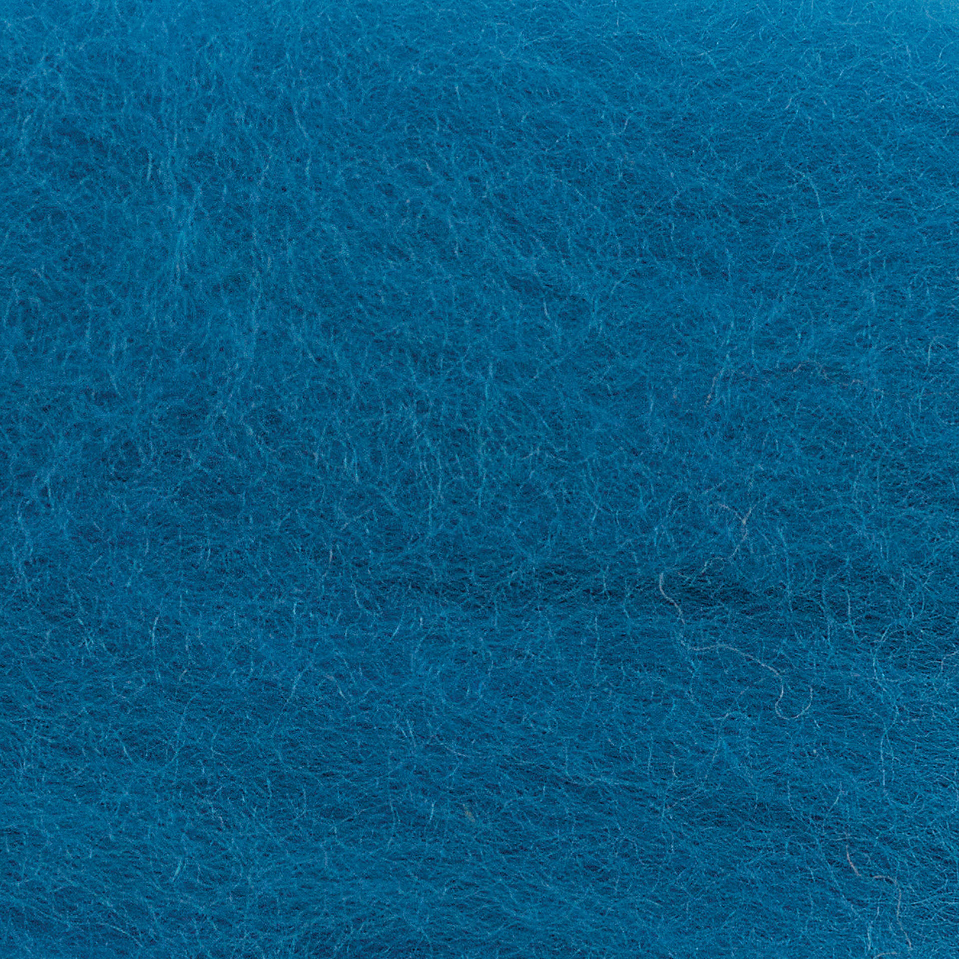 Wistyria Editions 100% Wool Roving - Lagoon, 14" - close-up