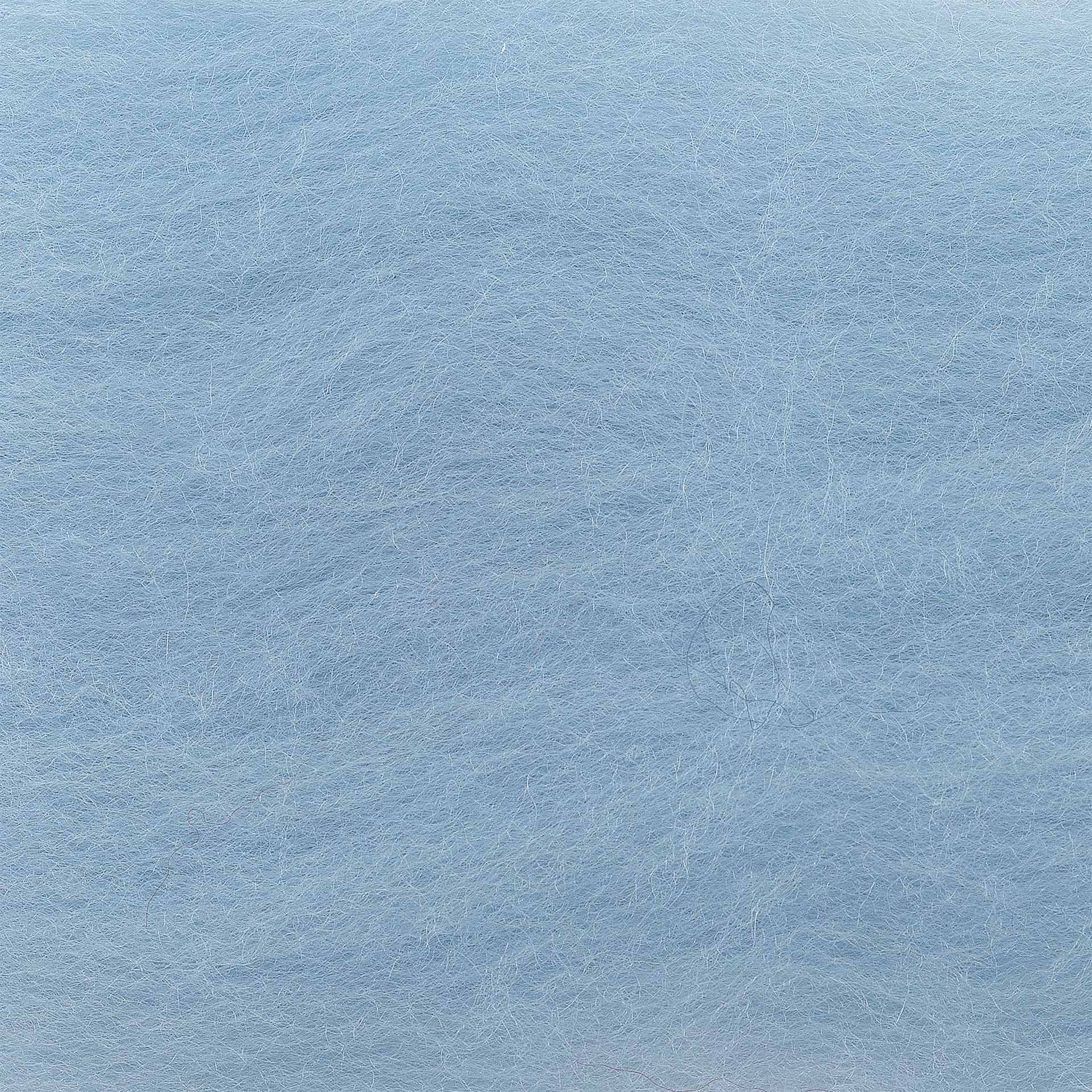 Wistyria Editions 100% Wool Roving - Pale Blue, 14" - close-up