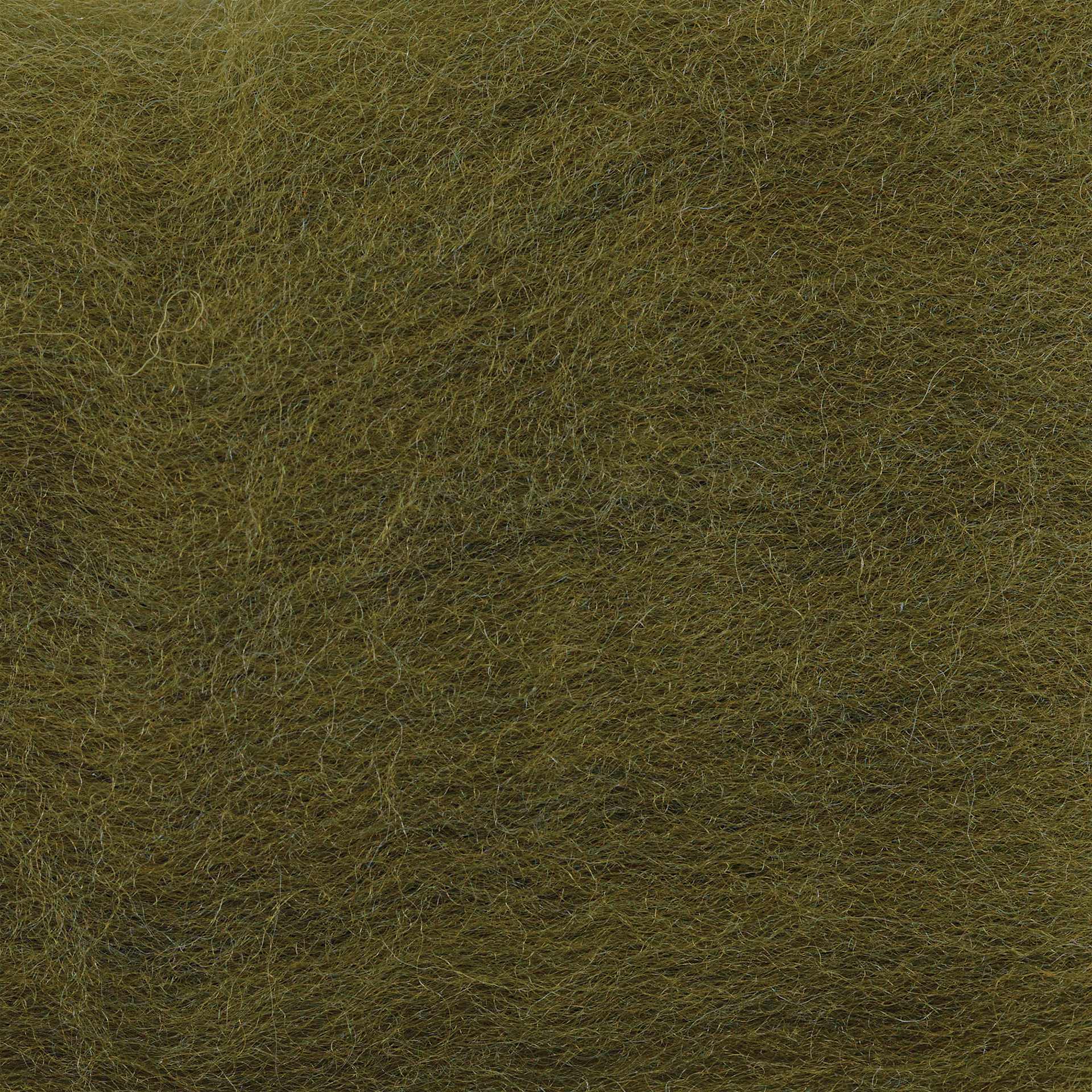 Wistyria Editions 100% Wool Roving - Olive, 14" - close-up
