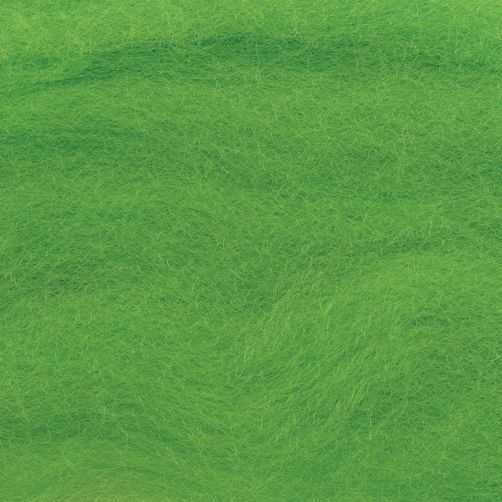 Wistyria Editions 100% Wool Roving - Lime, 14" - close-up